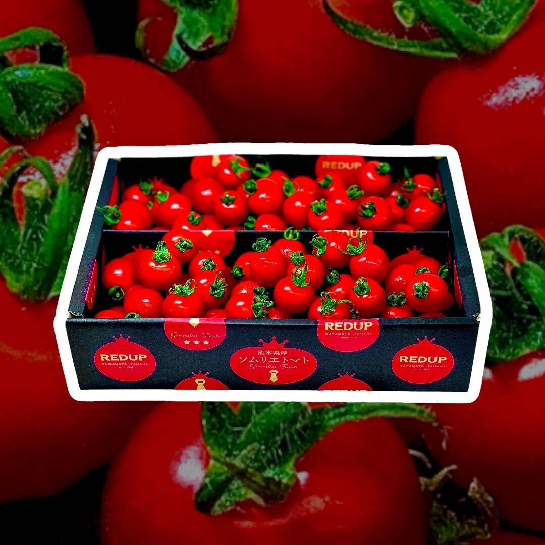 特別栽培農産物の取得】ソムリエミニトマト プラチナ800gとダイヤ800g