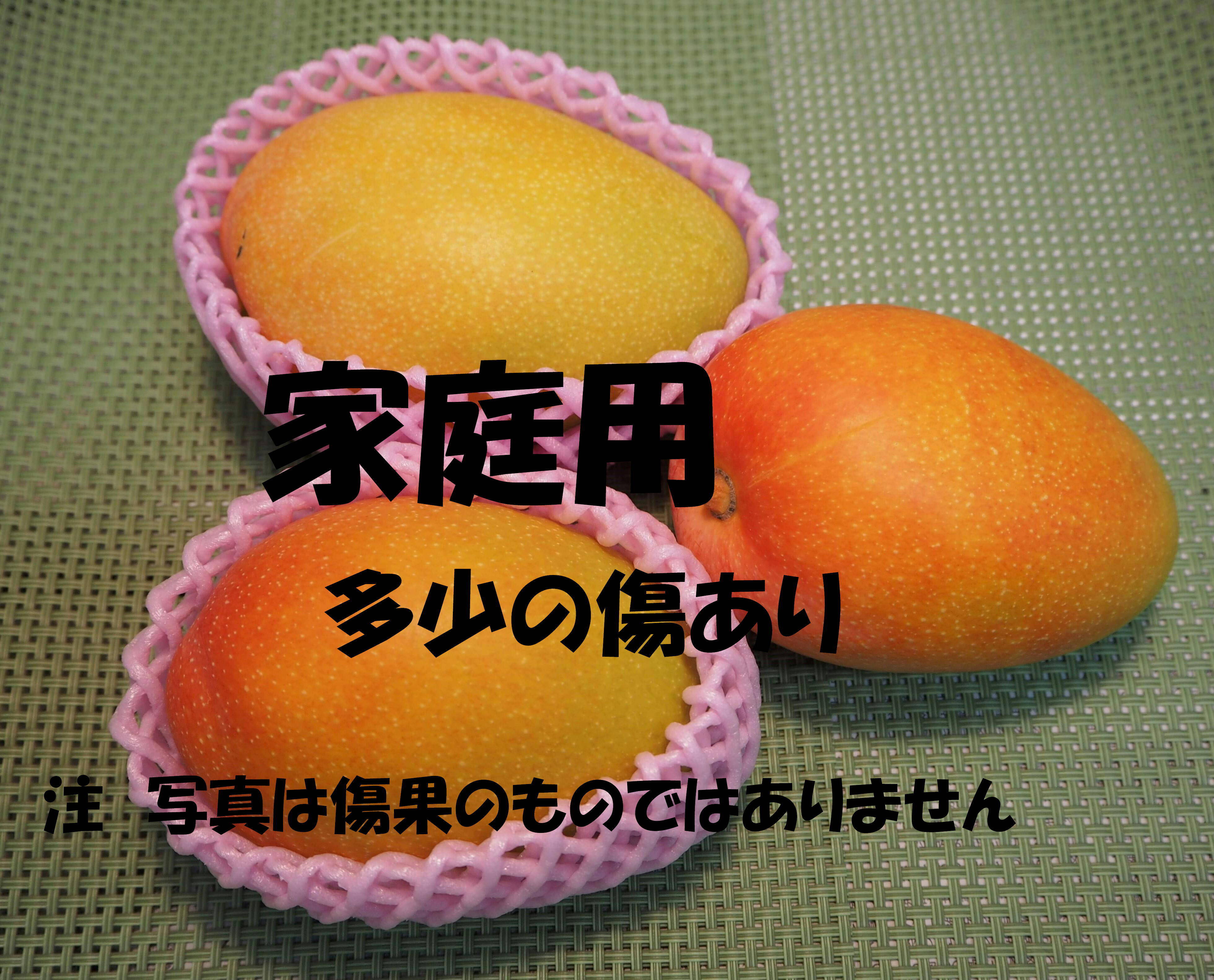 摘果マンゴー８キロ 摘果マンゴー 8キロ 【公式通販】