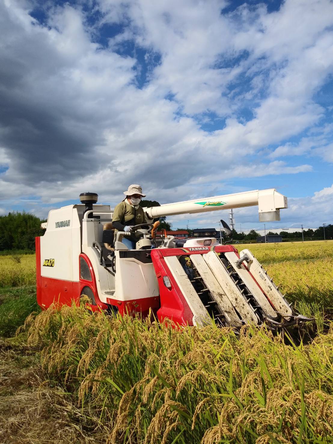 島根県産　令和6年　新米　コシヒカリ　農家直送 ⭐️令和6年100%新米 ⭐️コシヒカリ 20キロ 農家直送‼️