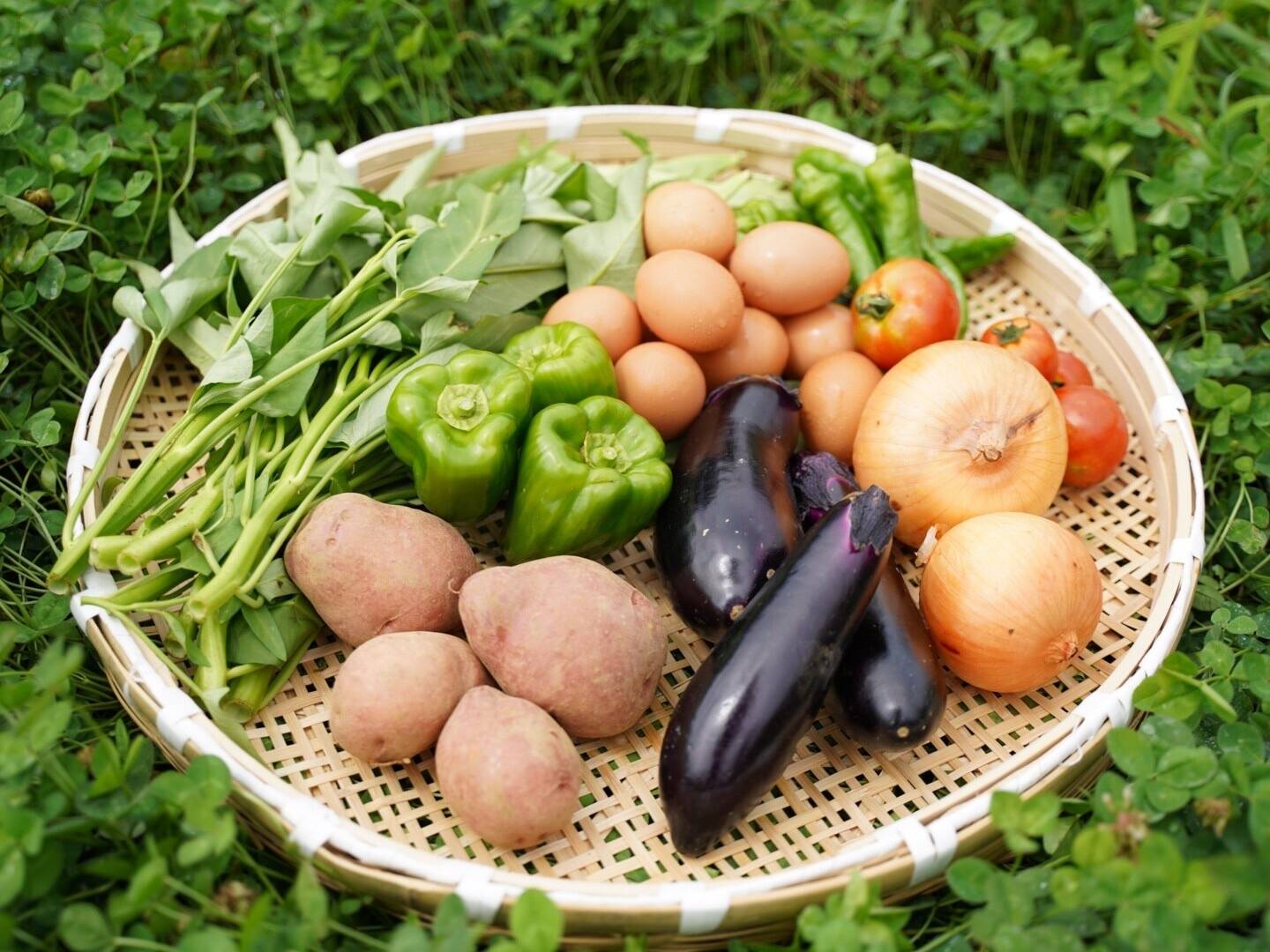 巣ごもり応援】季節の野菜と平飼い卵のセット（野菜8種、卵6個）：岡山