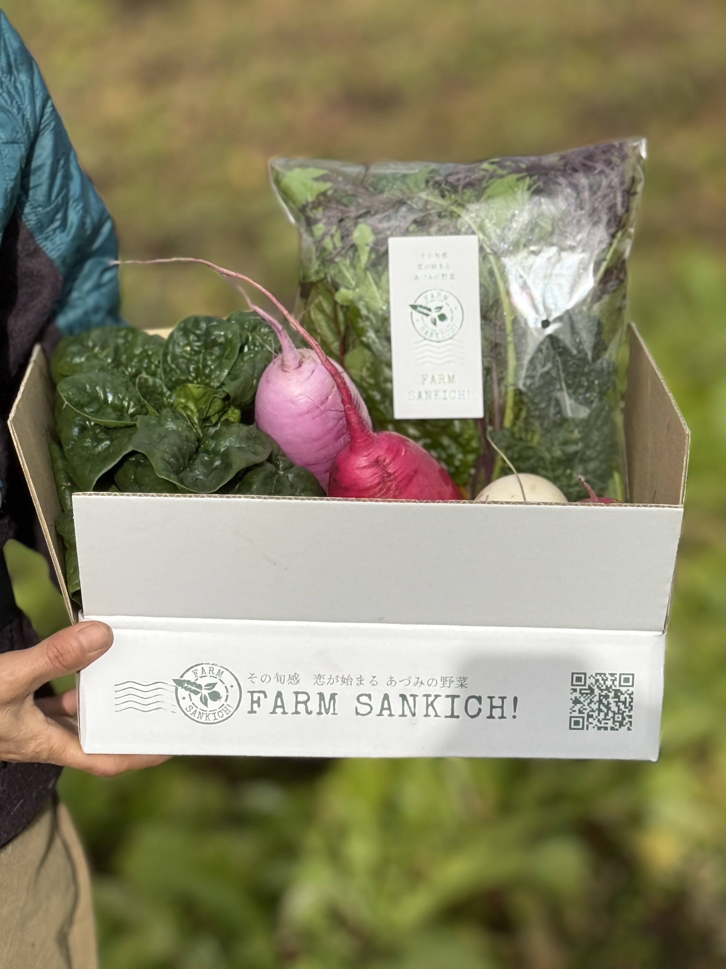 野菜 信州をお試し【旬彩野菜】BOX2～3人前 【ゲン担ぎ福袋】お得な福くる