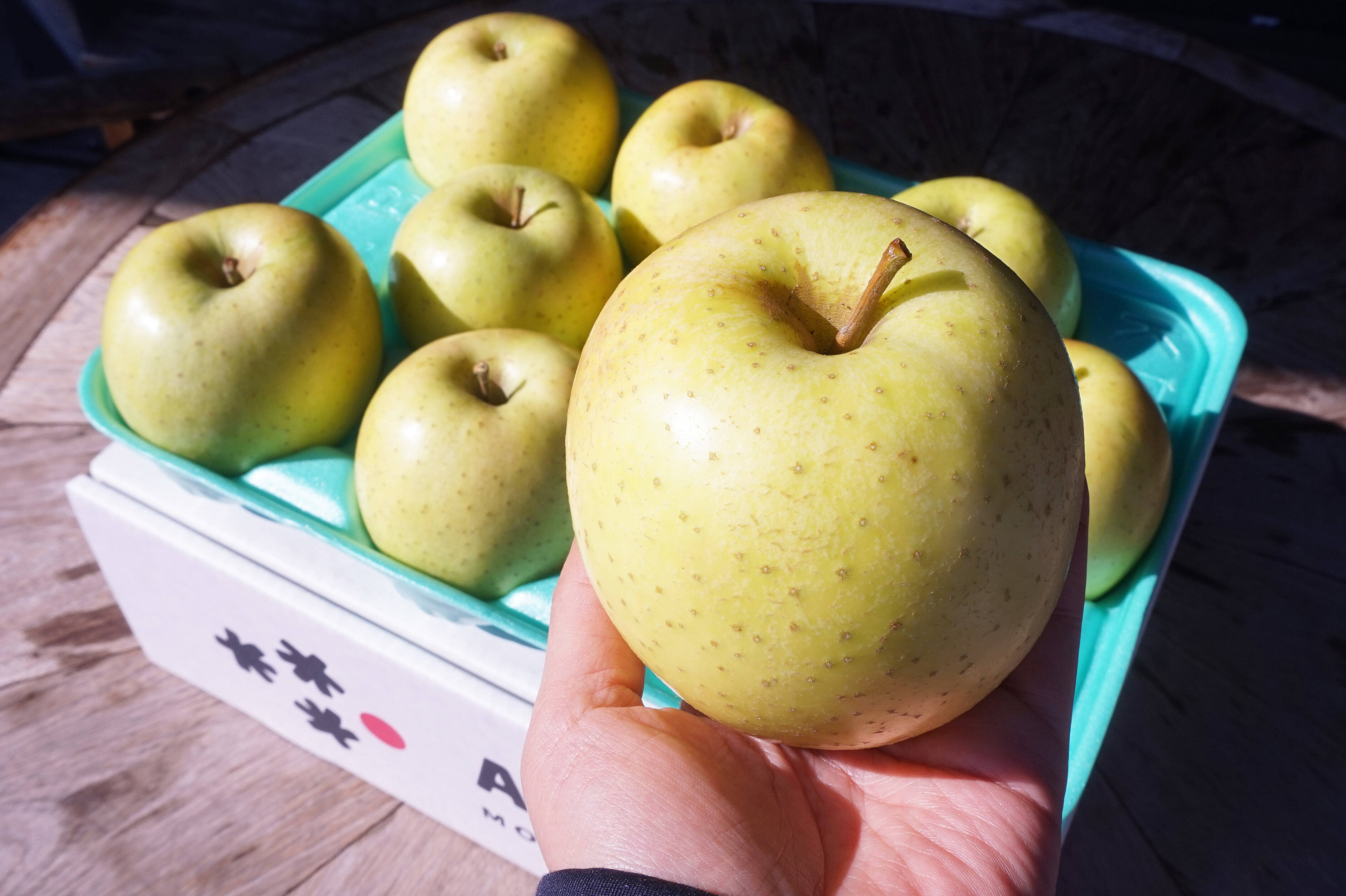 bio様　3Kg 食べごろサイズ（6月中旬発送） 2c0482b4705bddfe4ed6b0177ef873
