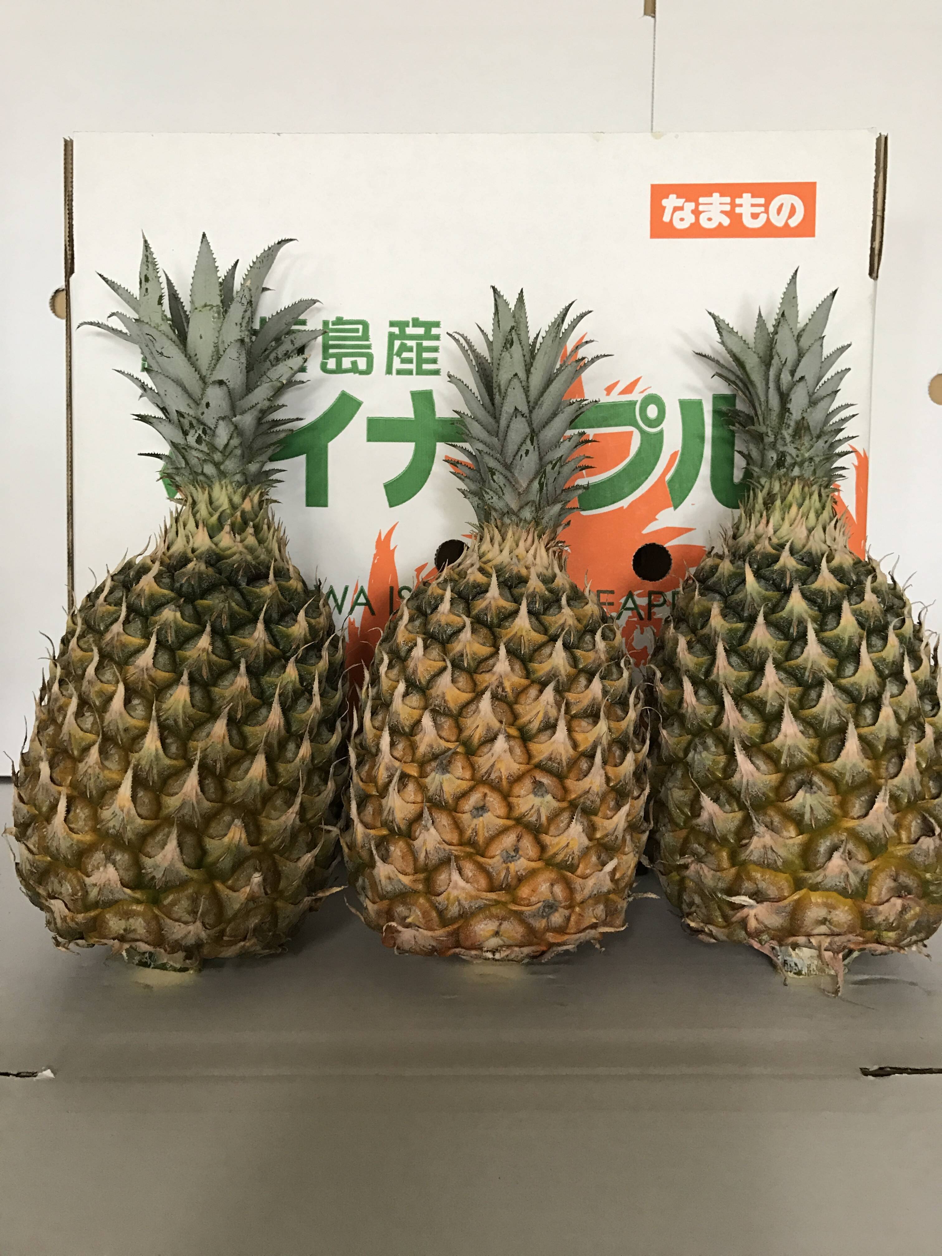 石垣島産　　特大スナックパイン 沖縄県石垣島産特大スナックパイン3個：沖縄県産のスナック