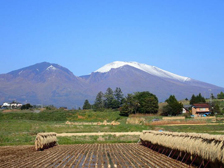 R7年 長野県産コシヒカリ 白米箱込み5キロ はざかけ米 天日干し 生産者