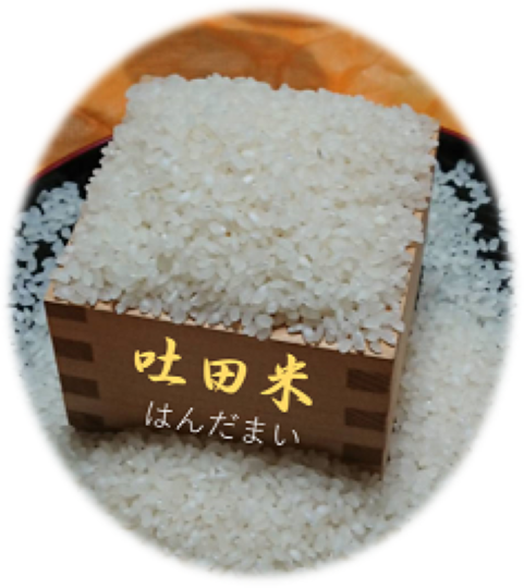 米 令和6年産100％吐田米（はんだまい） 4.5㎏：奈良県産のヒノヒカリ