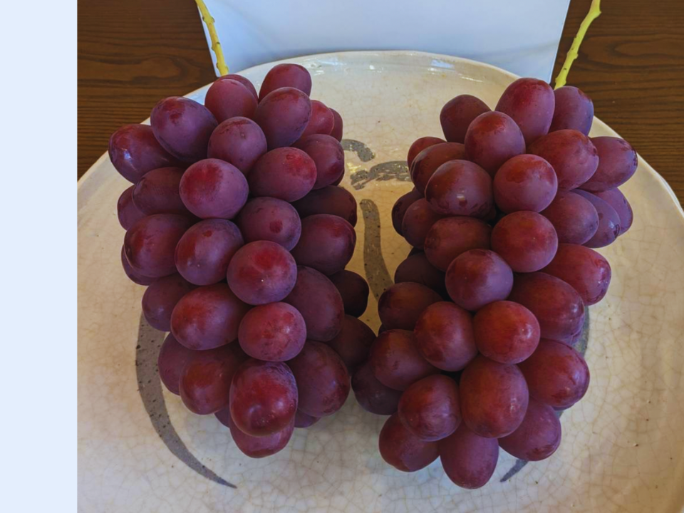 信州産　クイーンルージュ®︎ 2kg rouge2kg_1710059517516.jpg