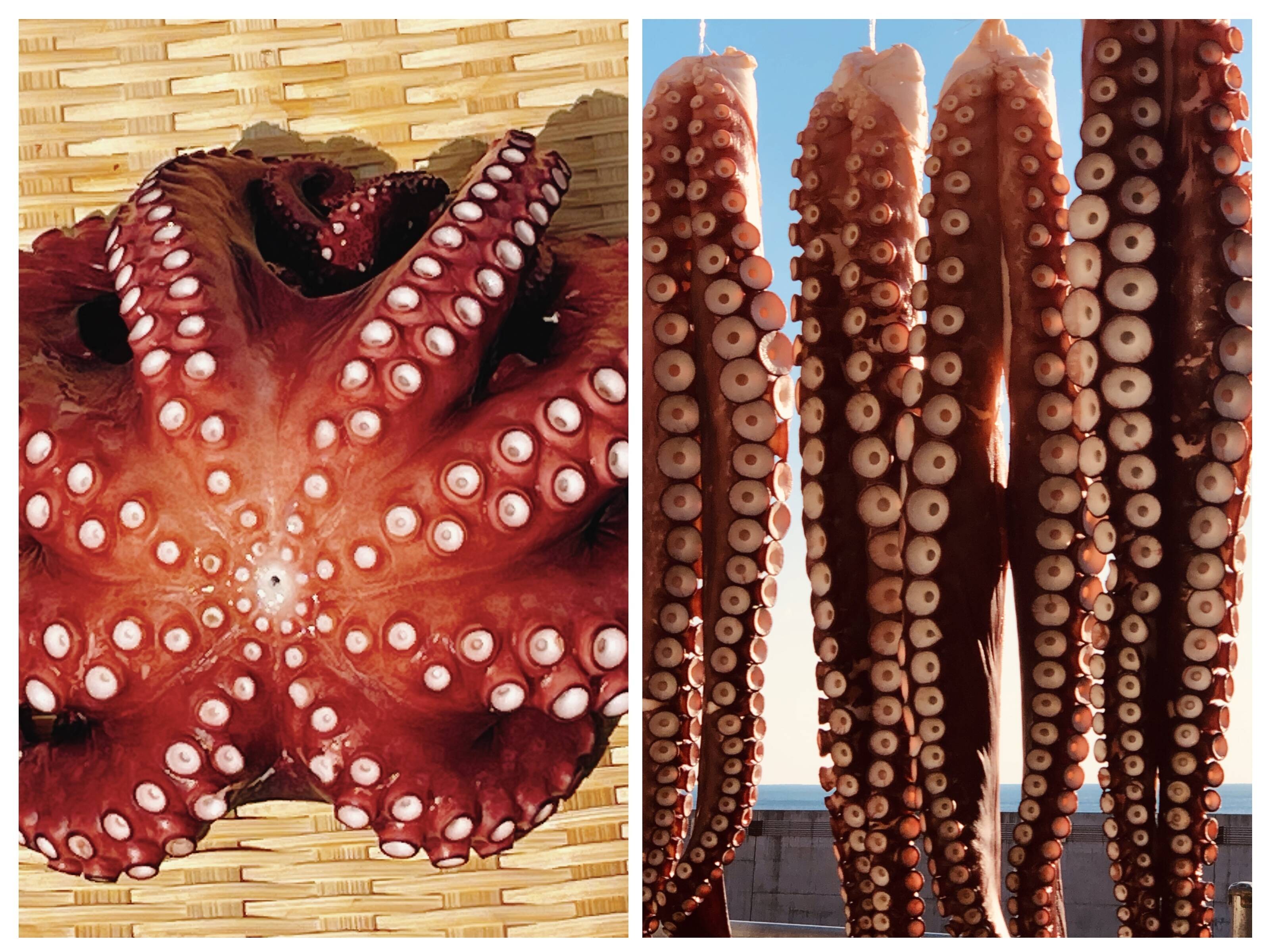 蒸し真ダコx蒸し水ダコ 食べ比べセット！！：岩手県産のマダコ