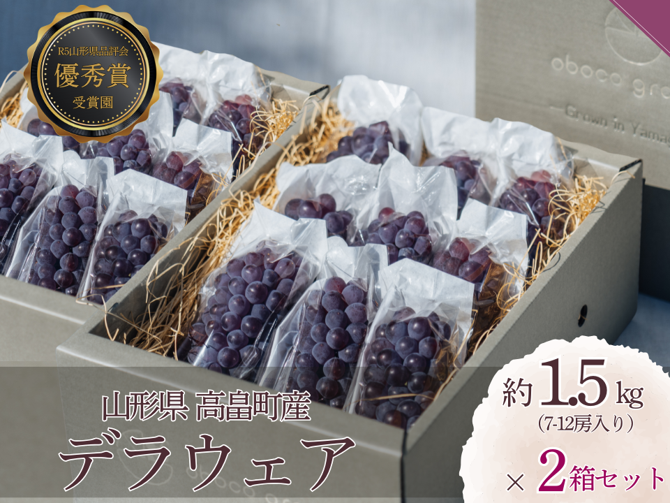 2026年予約販売】甘さ弾ける！『デラウェア』1.5kg×2箱セット【お中元