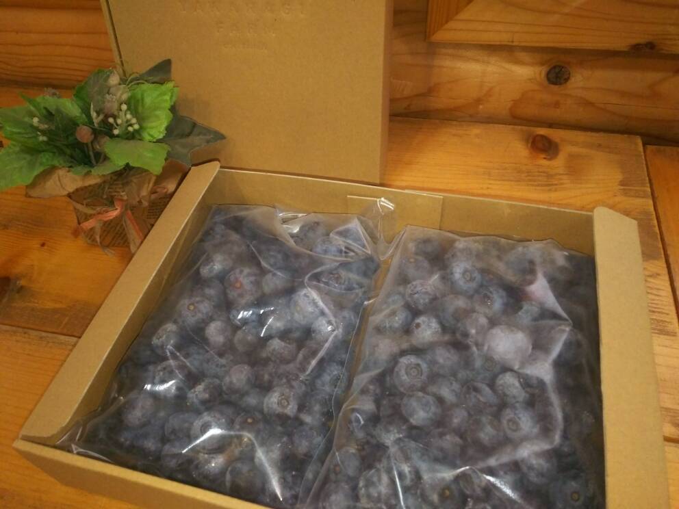 除草剤不使用、特別栽培認証の冷凍ブルーベリー1キロ（2Lサイズ
