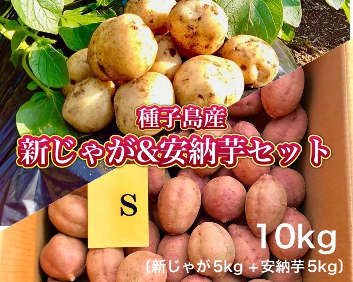 【期間限定】種子島産 新じゃが(SMLサイズ)＆熟成安納芋(Sサイズ) ｜1箱10kg(箱別)