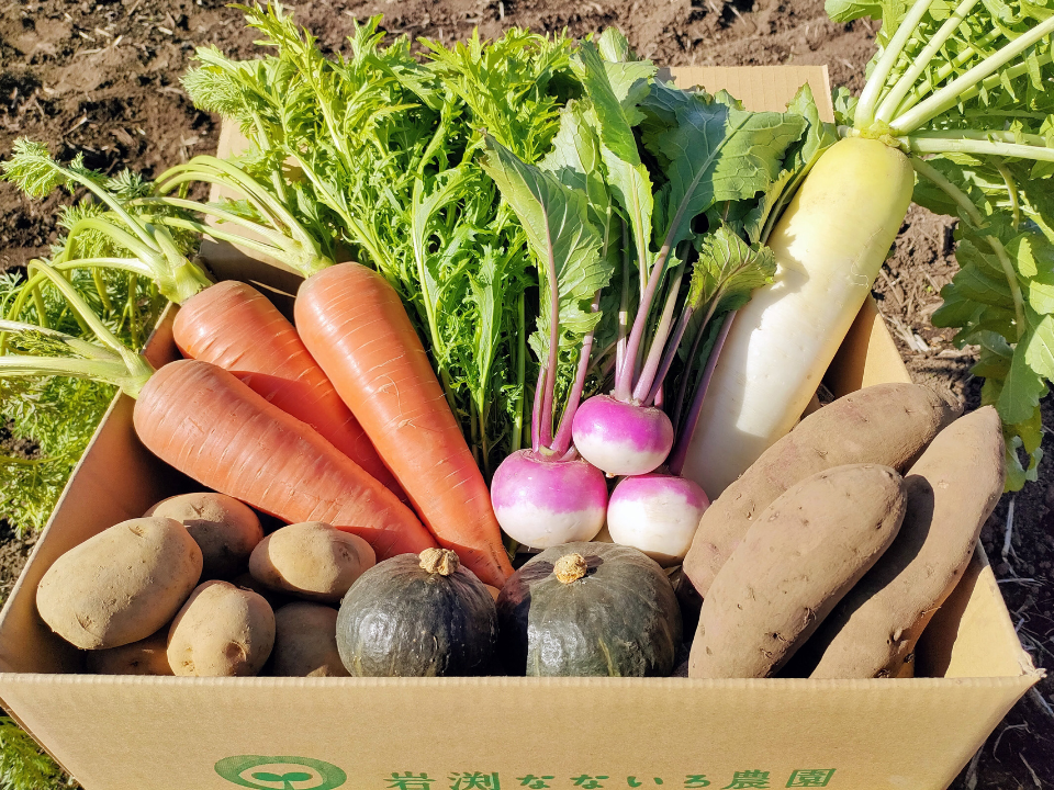 マタニティフード認定☆】朝採れ新鮮野菜を信州の高原よりお届け！！旬