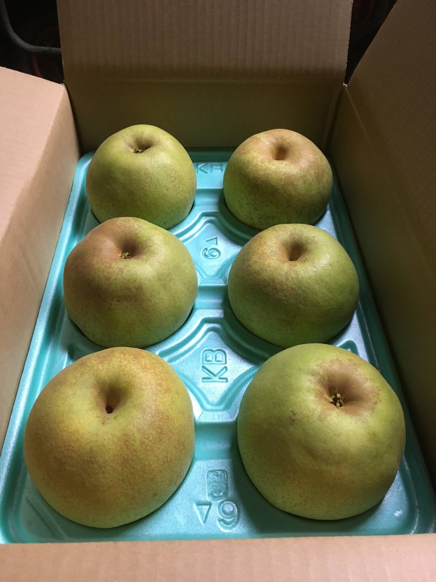 二箱　かおり　梨　バラ詰め　家庭用　産地直送 二箱 かおり 梨 バラ詰め 家庭用 産地直送