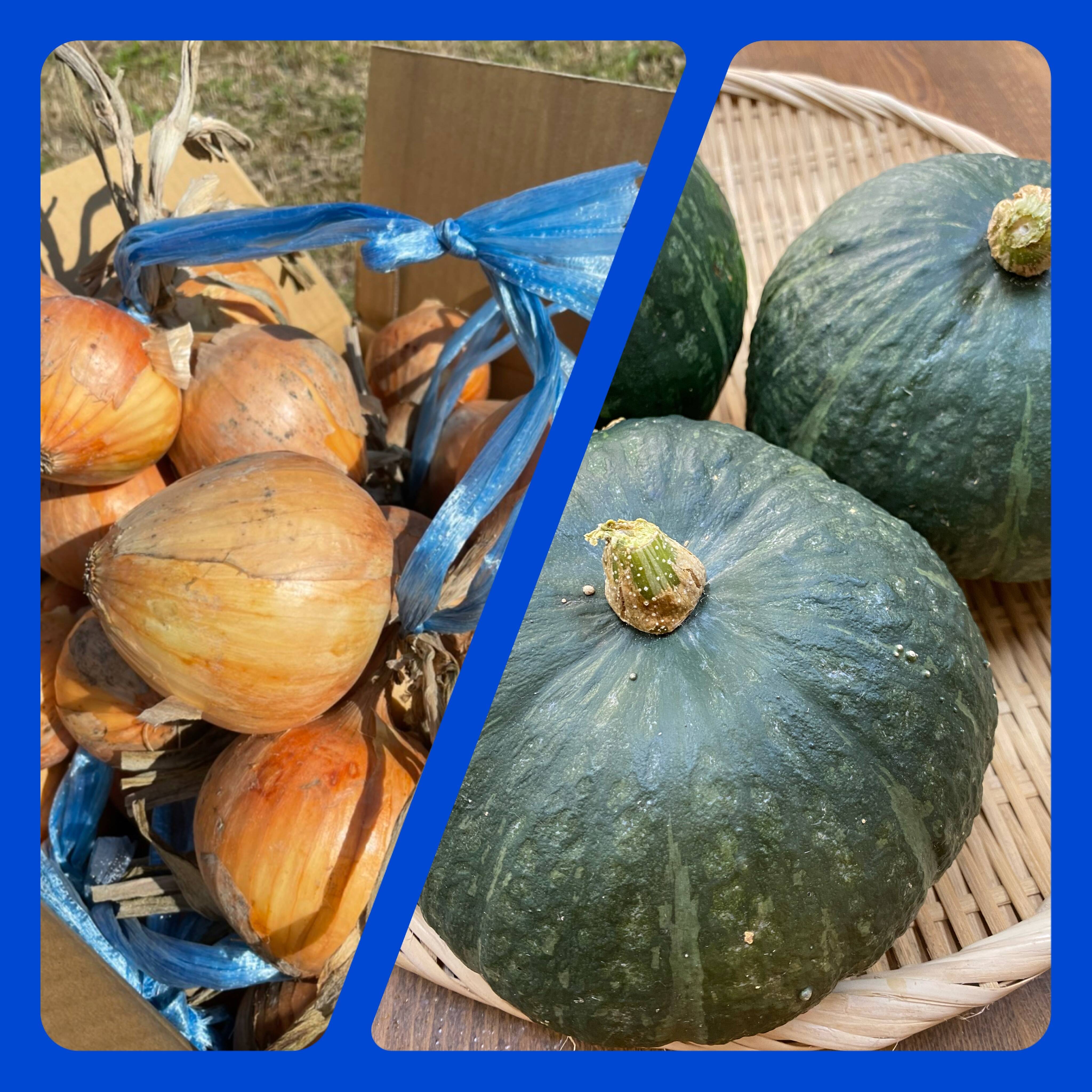 かぼちゃと玉ねぎの野菜の旨みセット‼️：兵庫県産の野菜セット｜食べ
