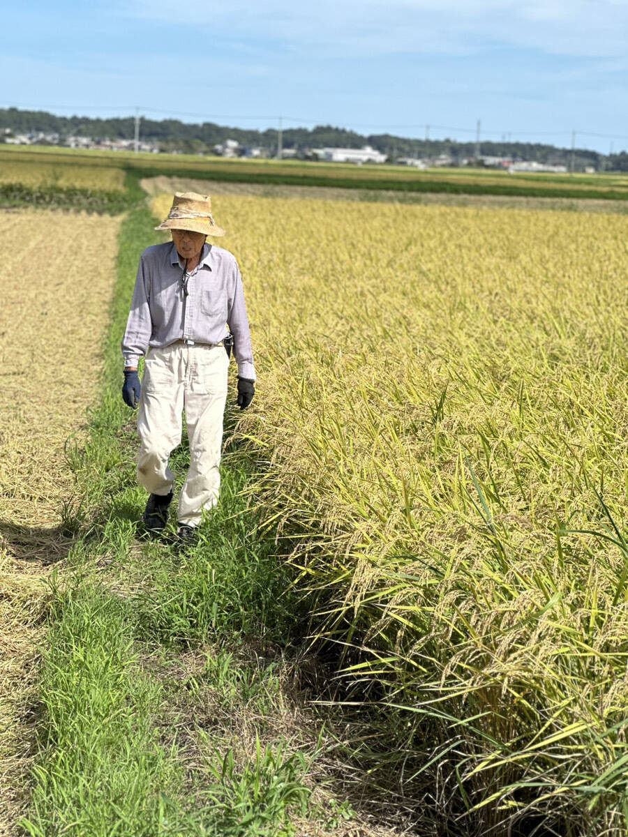 めぐみん　R6年収穫 鹿児島県産直 13℃一定保存 25kg 令和7年新米】もみ貯蔵でずっと新鮮「みずほのおこめ」千葉県産