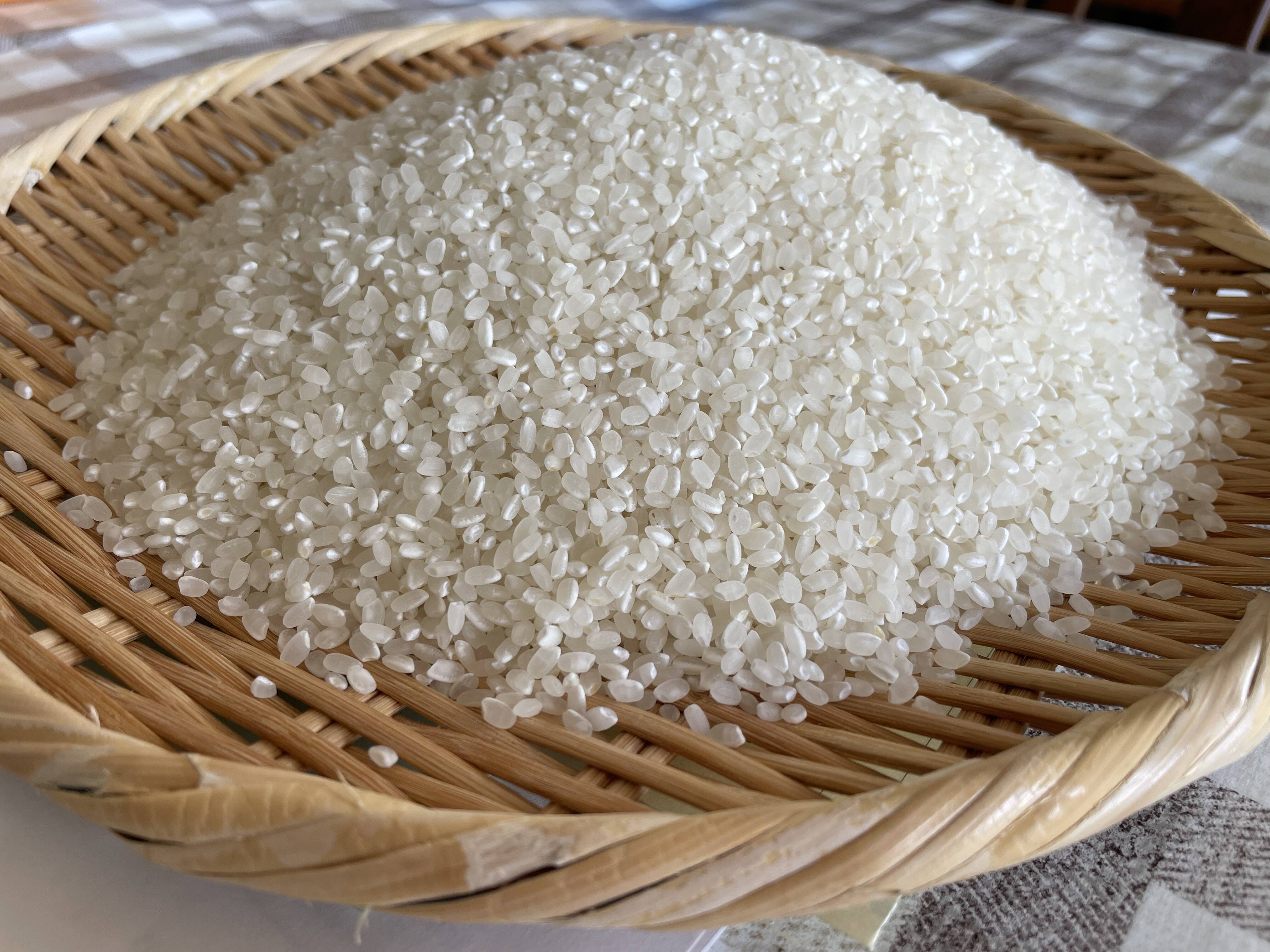 コシヒカリ 精米 4kg ×3袋 兵庫県丹波市産 コシヒカリ 精米 4kg ×3袋 兵庫県丹波市産