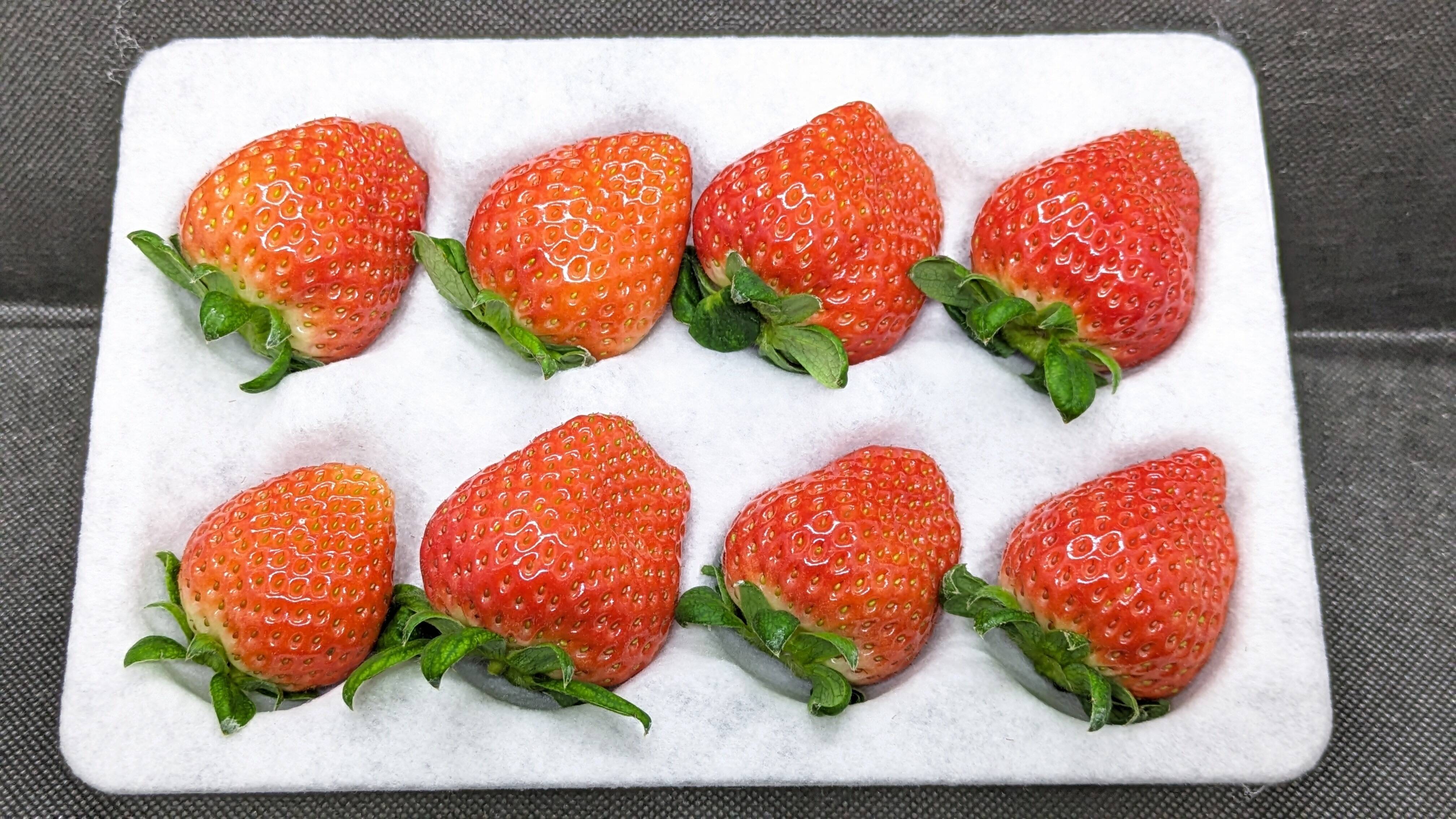 かおり野＆みくのか】いちご食べ比べセット 合わせて2パック(各1パック