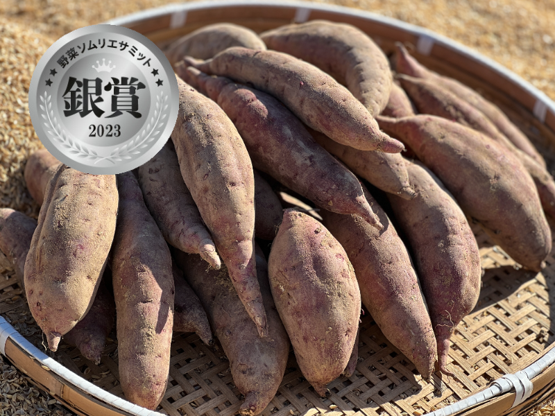 公式サイトから購入する 徳之島産キャサバ生芋15kg | artfive.co.jp