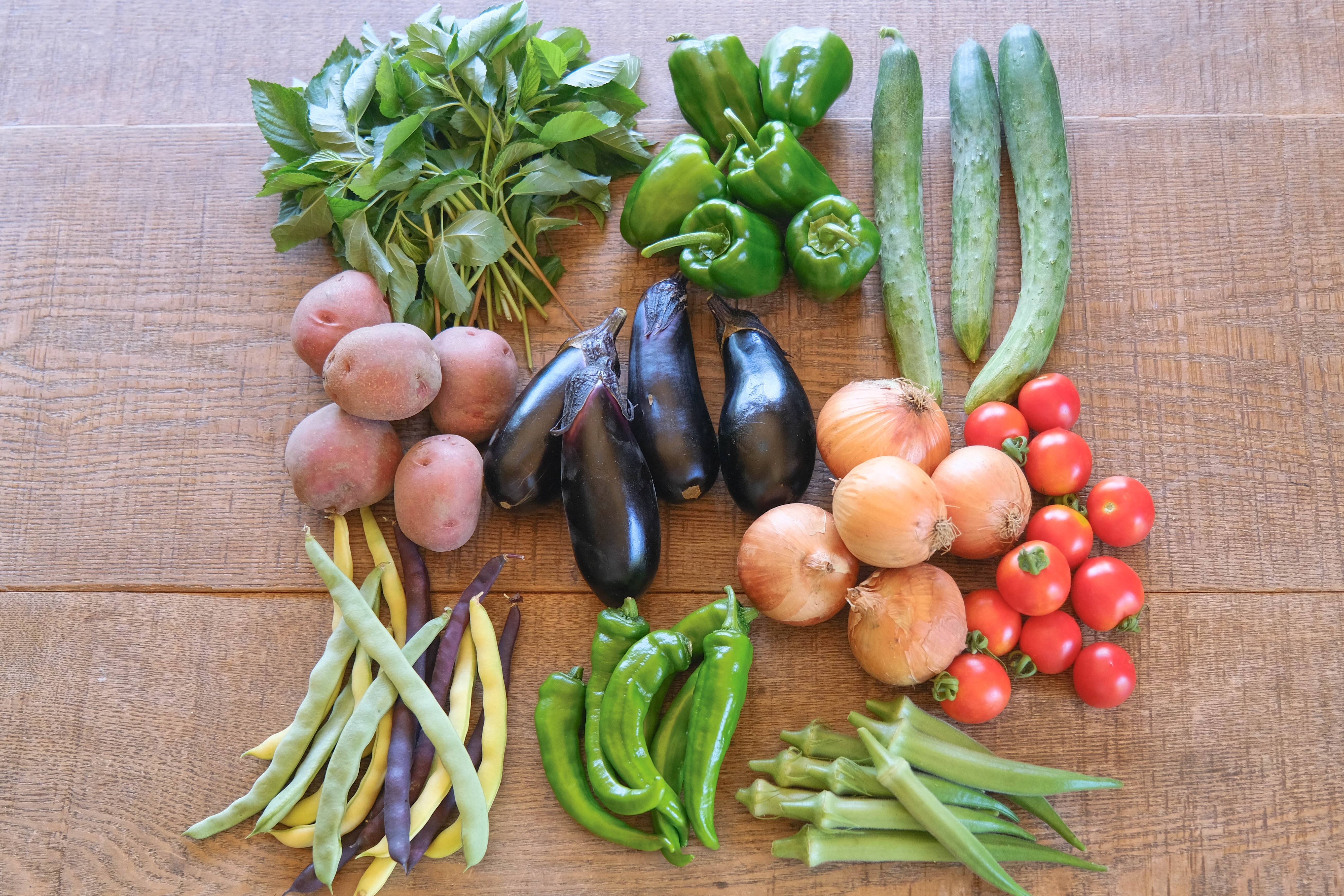 有機JAS認定/神戸よりお届け】畑のめぐみ野菜セット【Lサイズ】：兵庫