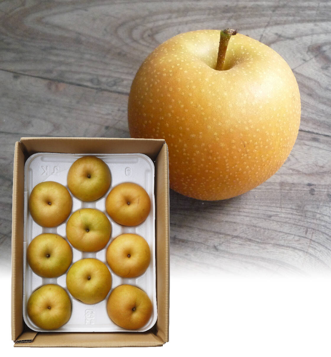 限定数量「新甘泉」2.5キロ(7～9玉) たにがみ農園 果汁たっぷり‼ 鳥取