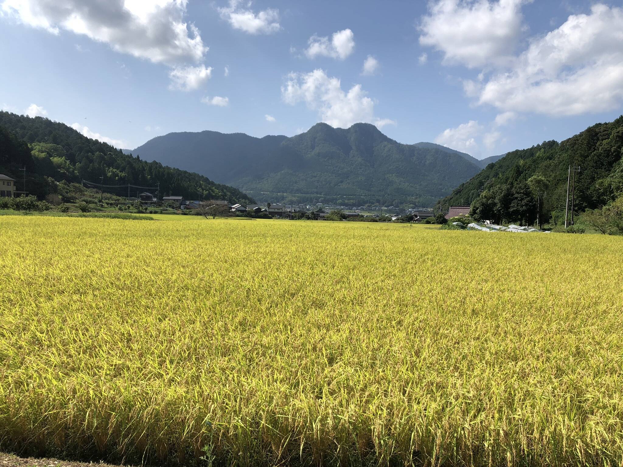 🍴 Eat choku ｜ Tamba Farm, Takahashi, Tamba City, Hyogo Prefecture