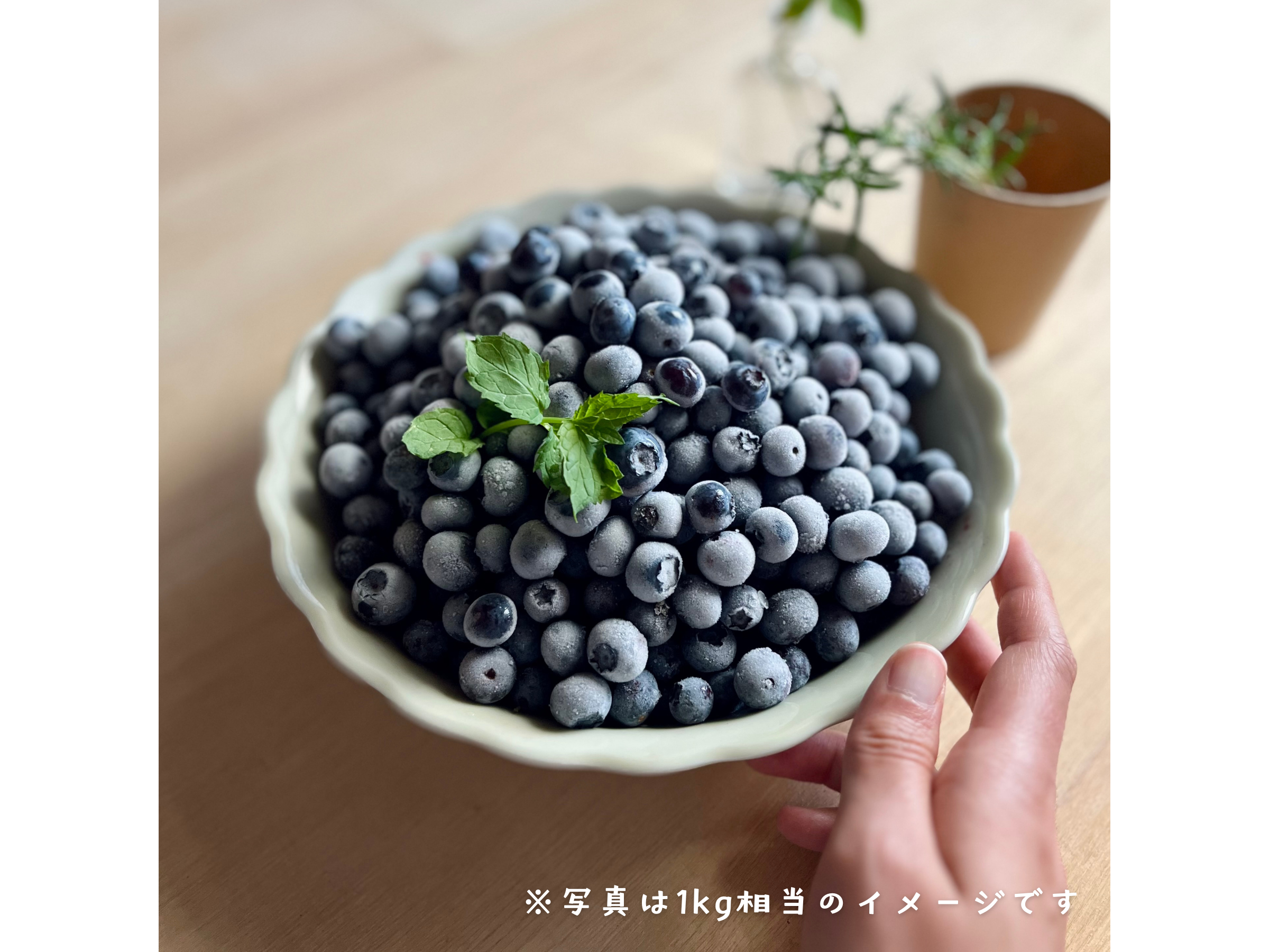 冷凍ブルーベリー 10kg 農薬不使用② なんくる様専用】長野県産【冷凍ブルーベリー】農薬・除草剤不使用
