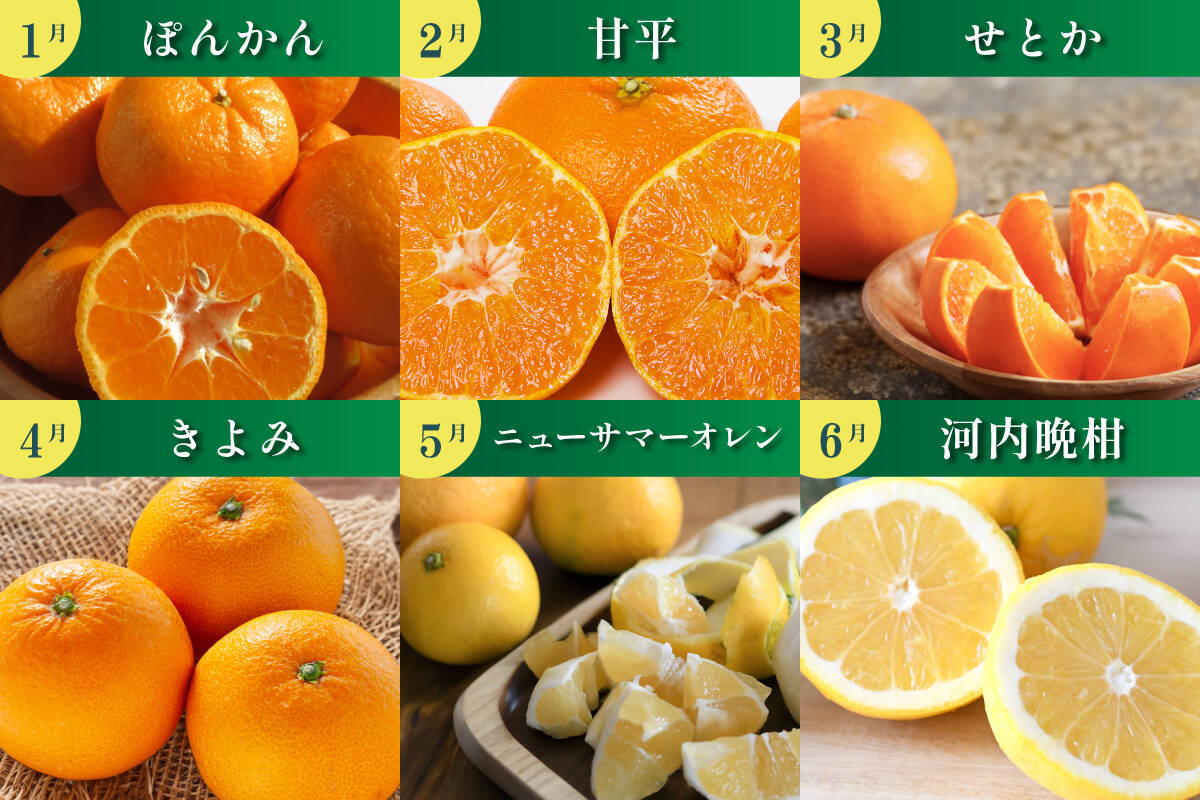 みかんのある暮らし》三代目の月替わり定期便3kg~5kg+α：愛媛県産の