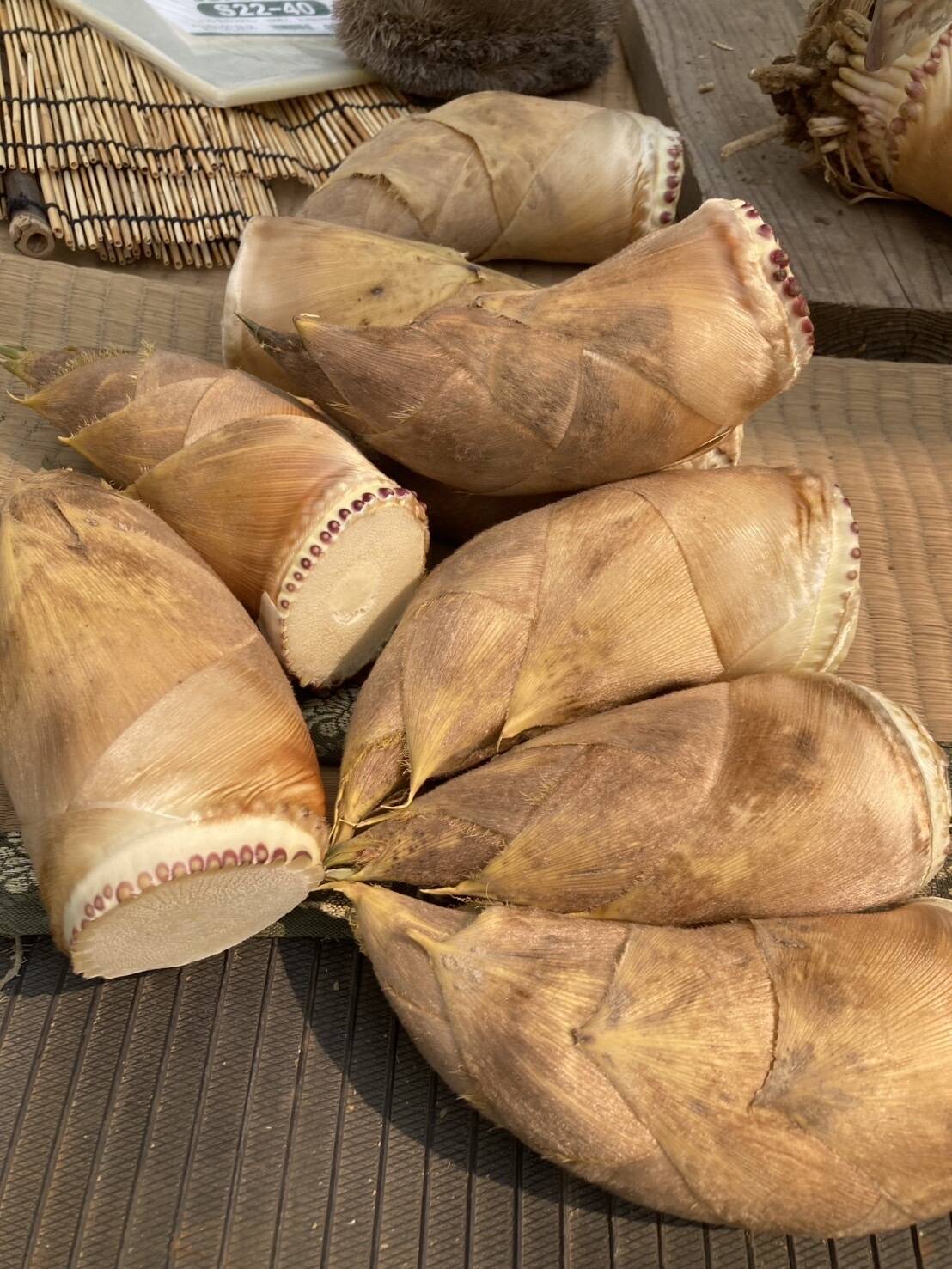 超早掘り筍2キロ 2026年収穫分・静岡市産！朝掘りたけのこ 2kg入り：静岡県産の