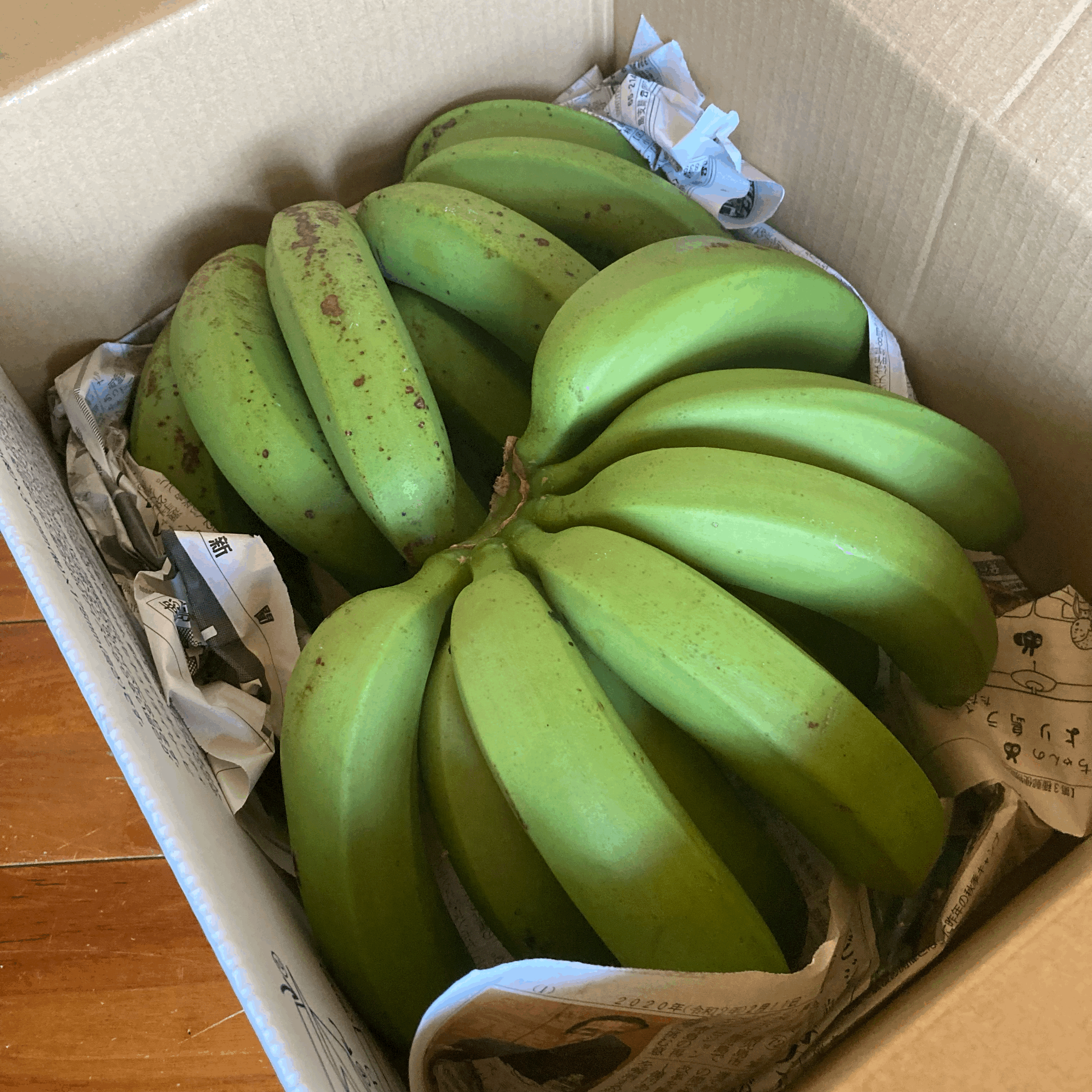 島バナナ 奄美大島8.9kg