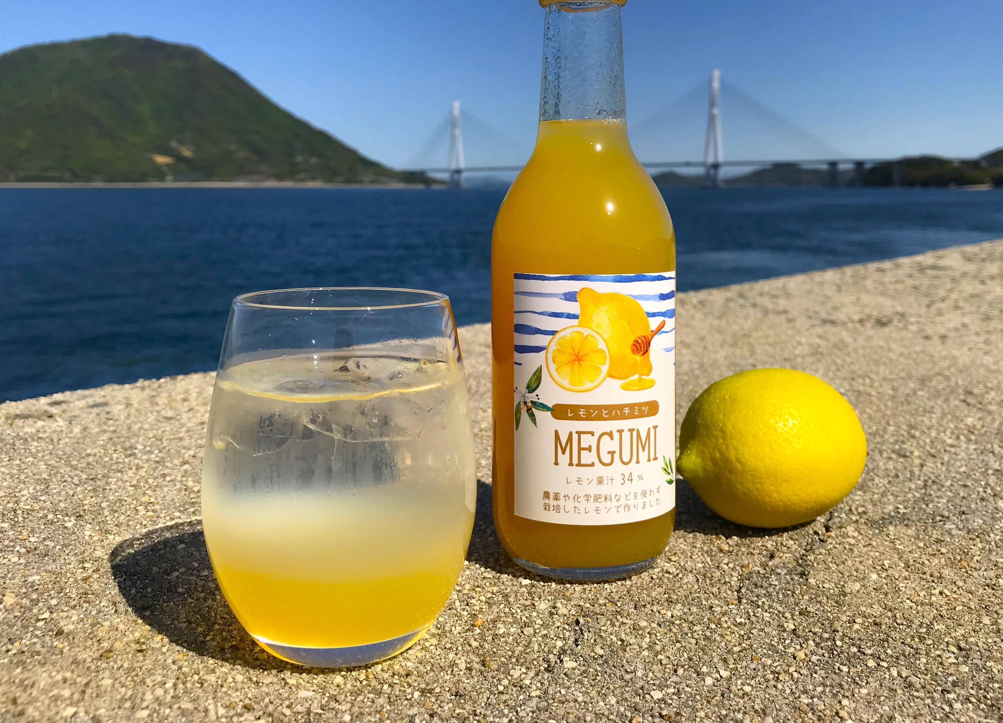 無添加・農薬・化学肥料等不使用栽培】はちみつレモンシロップ 300ml×6