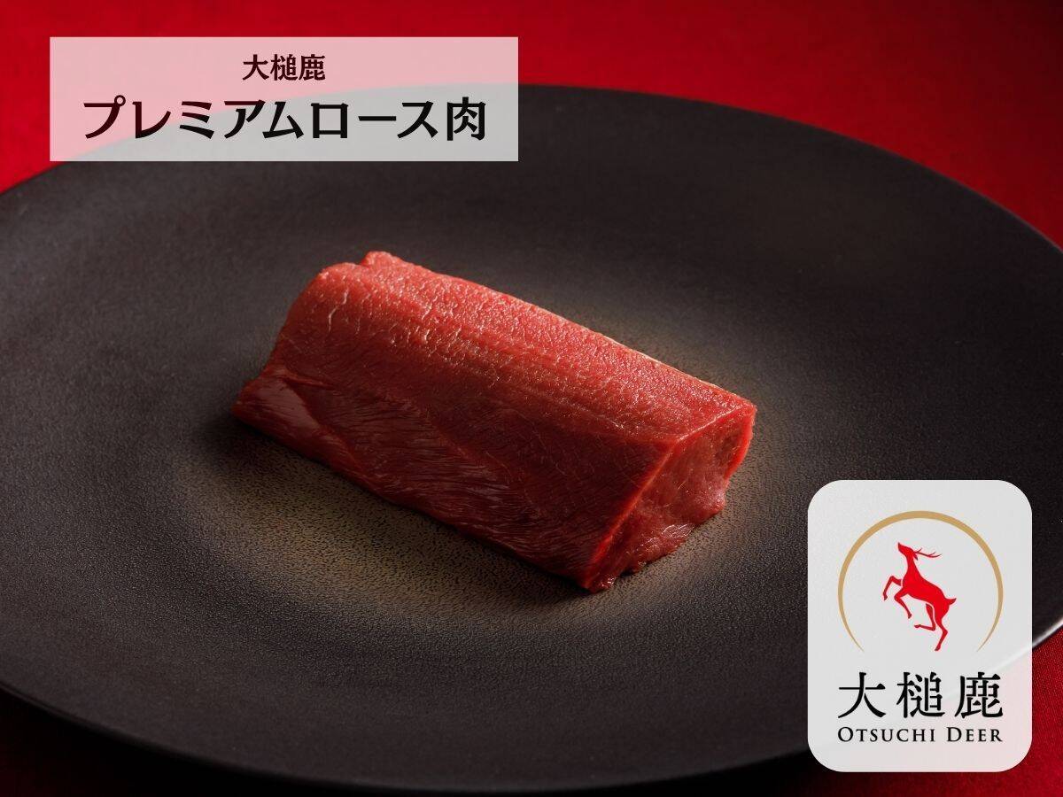 岩手県大槌町産【一番人気】大槌鹿プレミアムロース肉 200g×1パック