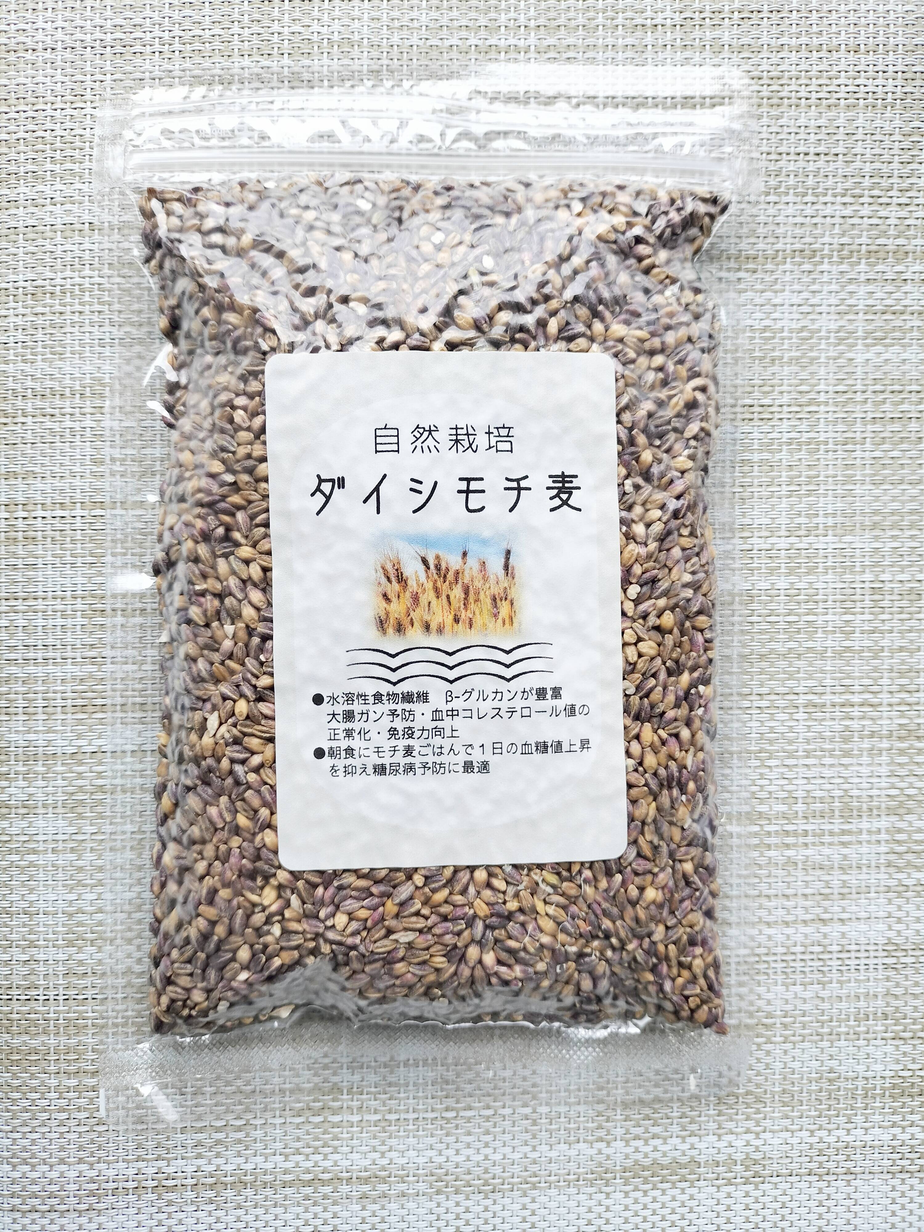 R7ダイシモチ麦】栄養と健康維持に！免疫力アップにポリフェノールや