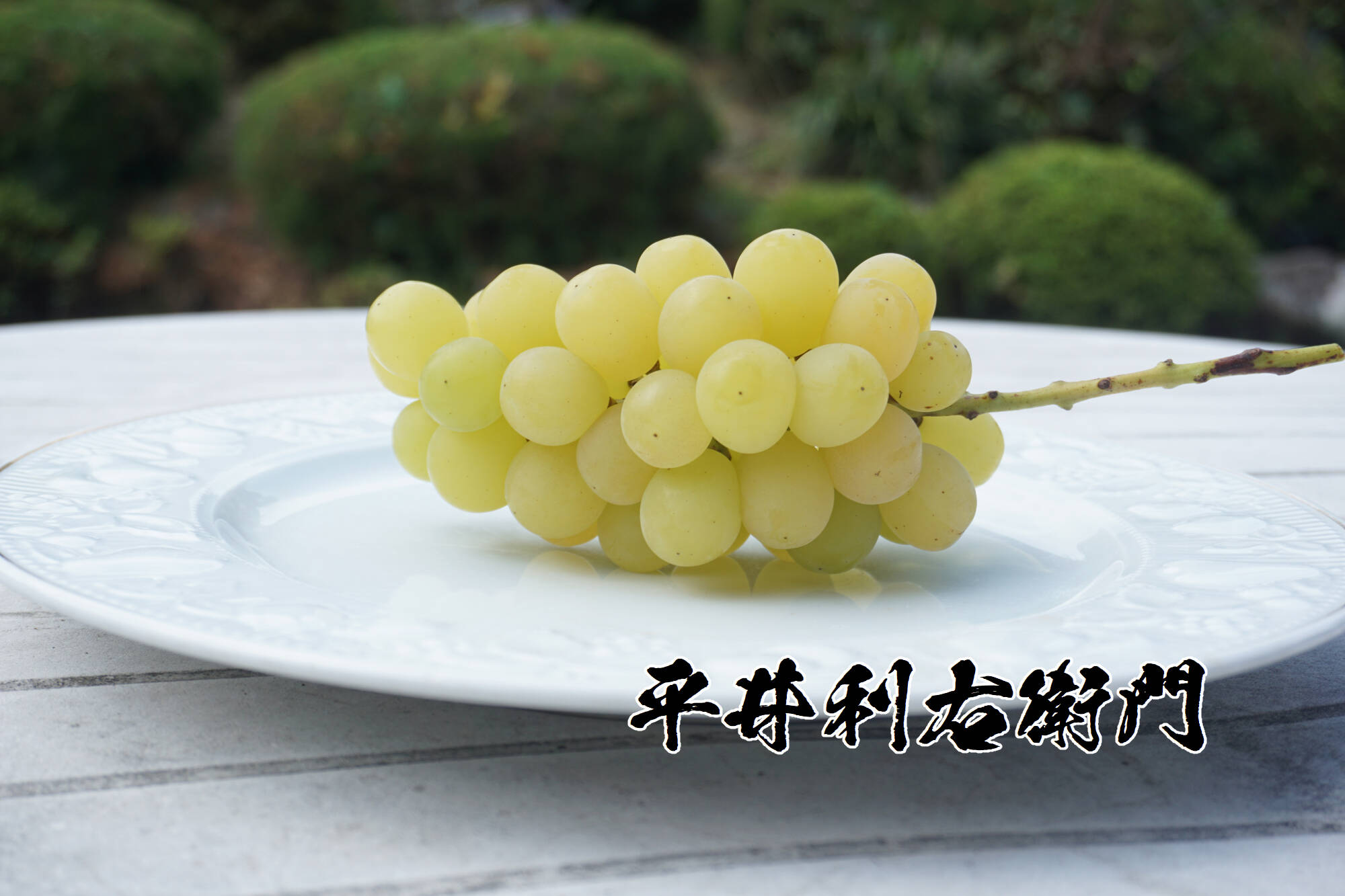 値引き中！総重量1.5kg以上！】平井利右衛門の青ぶどう（マスカ