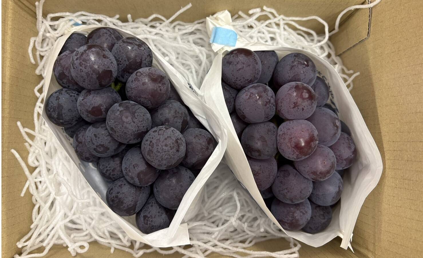 巨峰　出品　13個 2026年度予約】牧丘ブランドの巨峰！ 1kg（2～3房）：山梨県産の巨峰