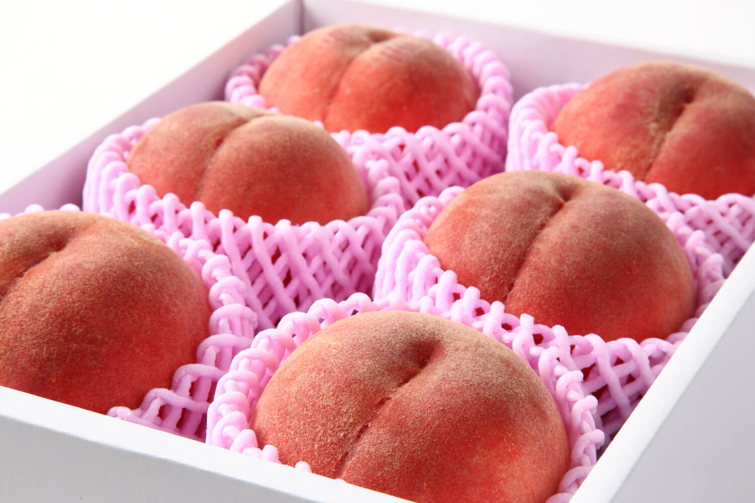 限定200箱】 とにかく川中島白桃が食べたいあなたへ！ 8月下旬～9月