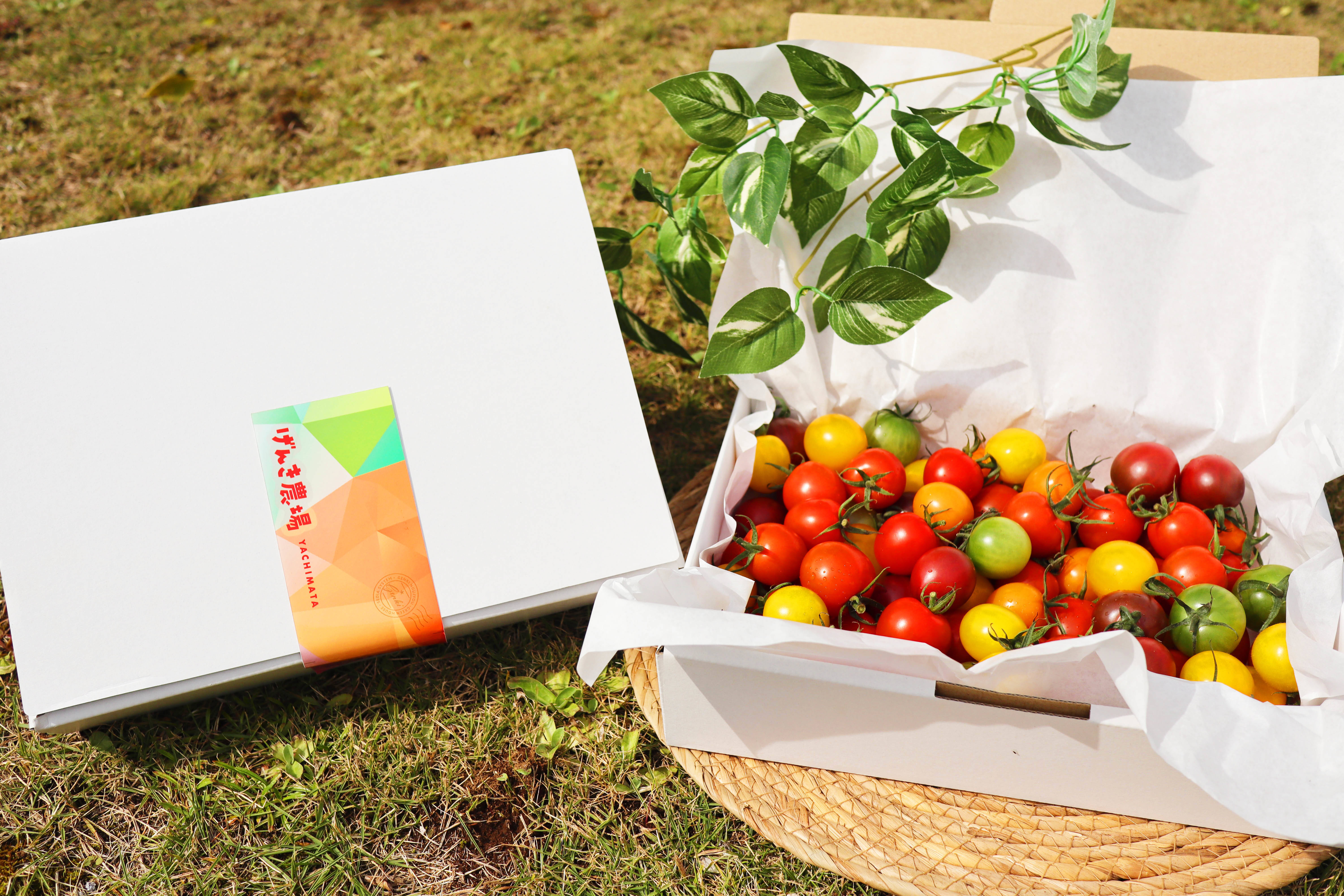 2ebd2f7e7c3ffb6094dc1a24c84f87