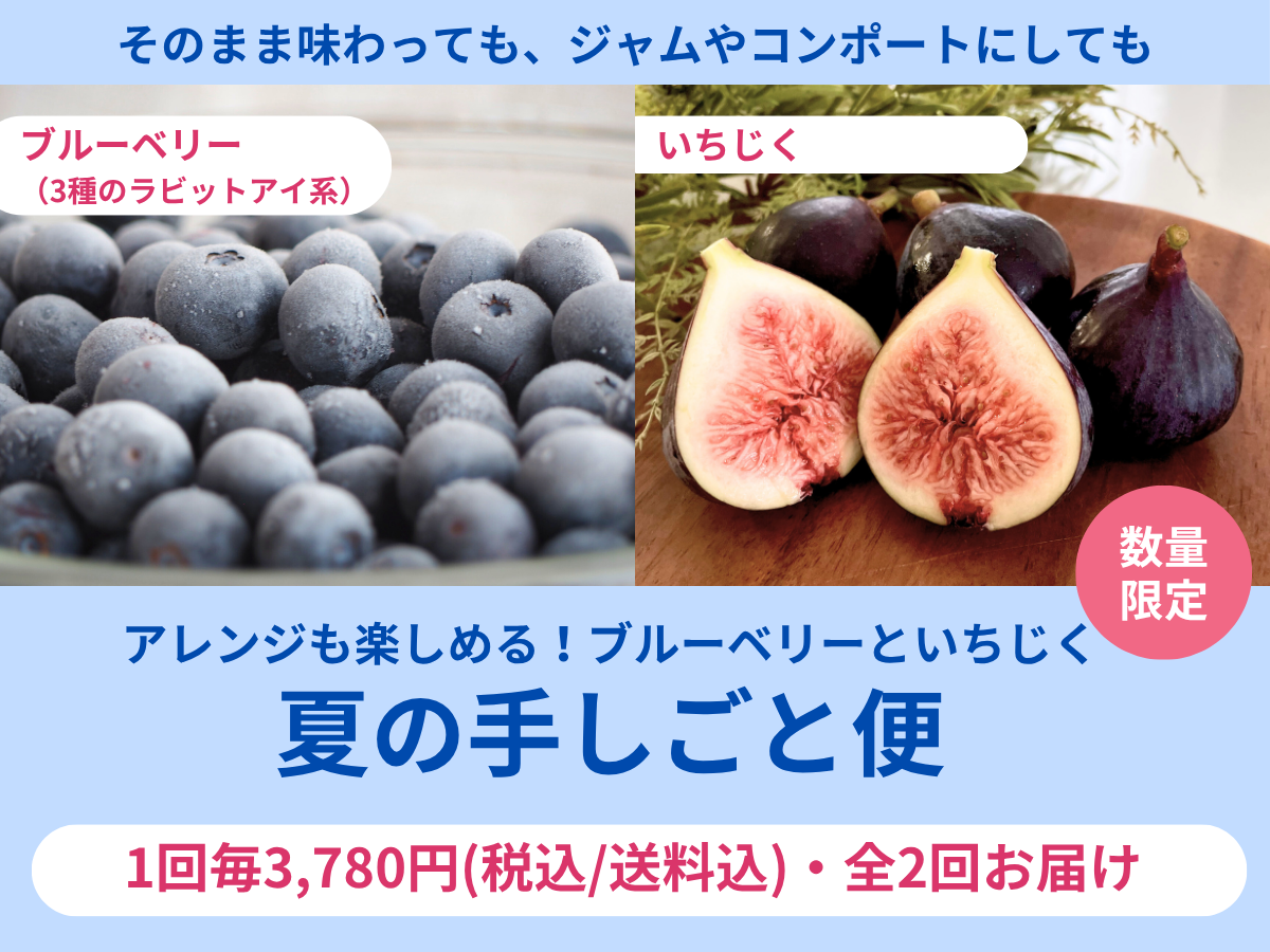 確認用 イチジク ブルーベリー バラ 新商品発売！＜ドライいちじく