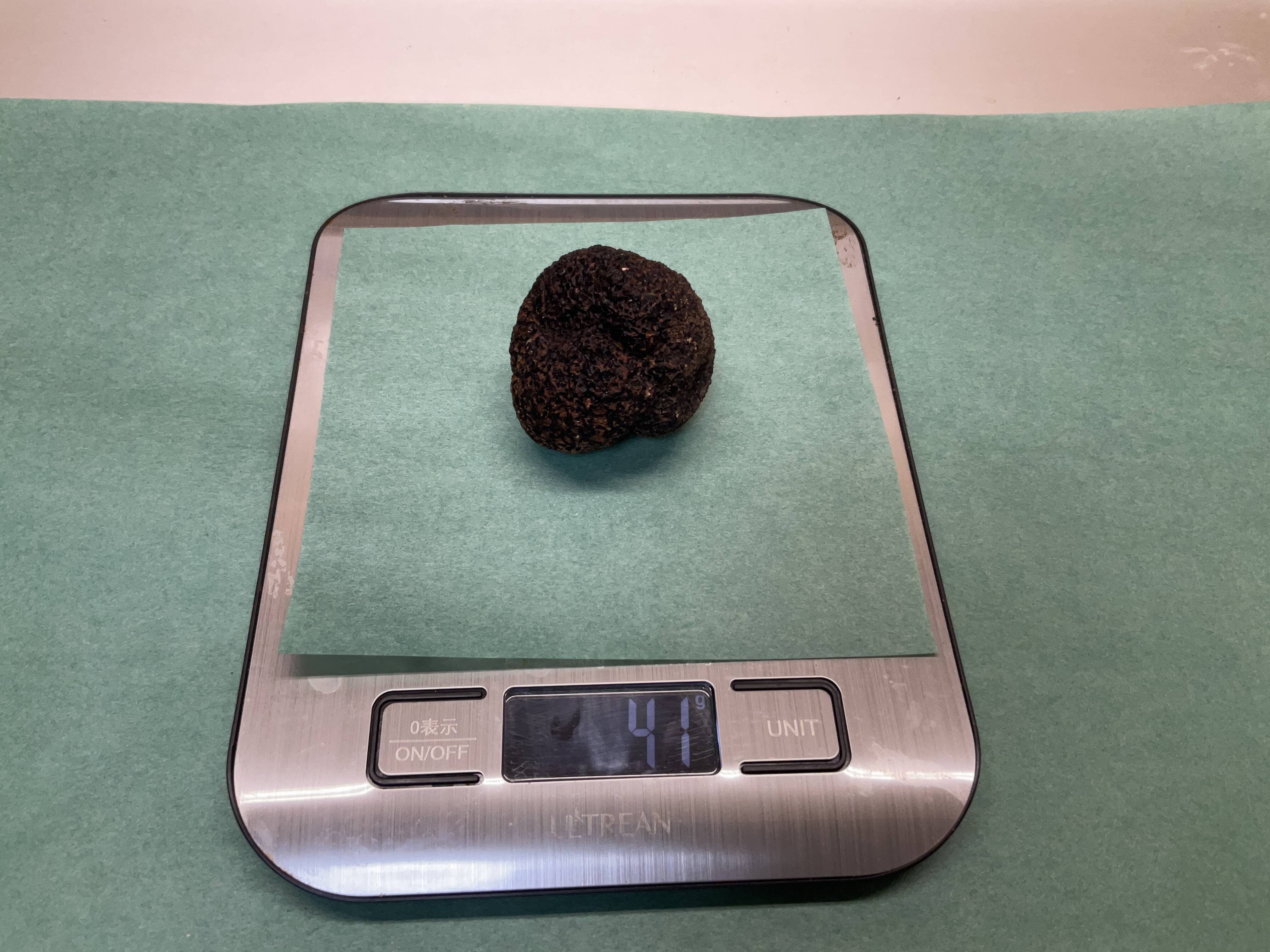 八ヶ岳産　イボセイヨウショウロ【国産トリュフ】　約170g 9個 八ヶ岳産 イボセイヨウショウロ【国産トリュフ】 約170g 9個