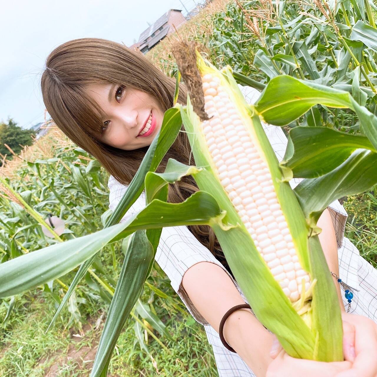 吉田農作場ｙｂの紹介 栃木県 食べチョク 農家 漁師の産直ネット通販 旬の食材を生産者直送