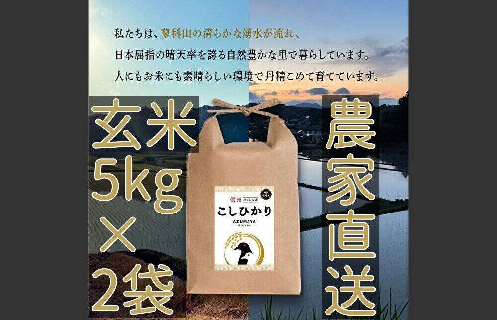 食品 令和5年度産（古米）10月収穫 長野県産コ シヒカリ 玄米