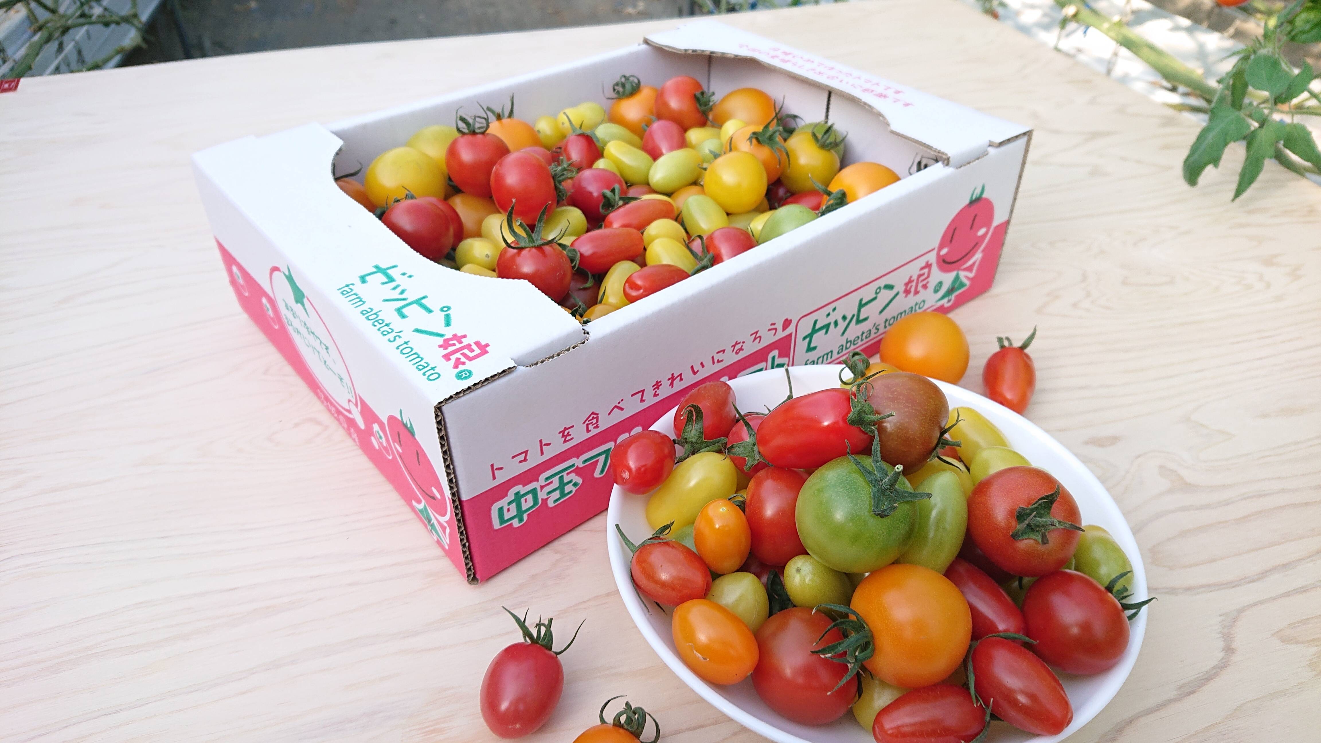 2eed8777003e98985153c9efd6543c