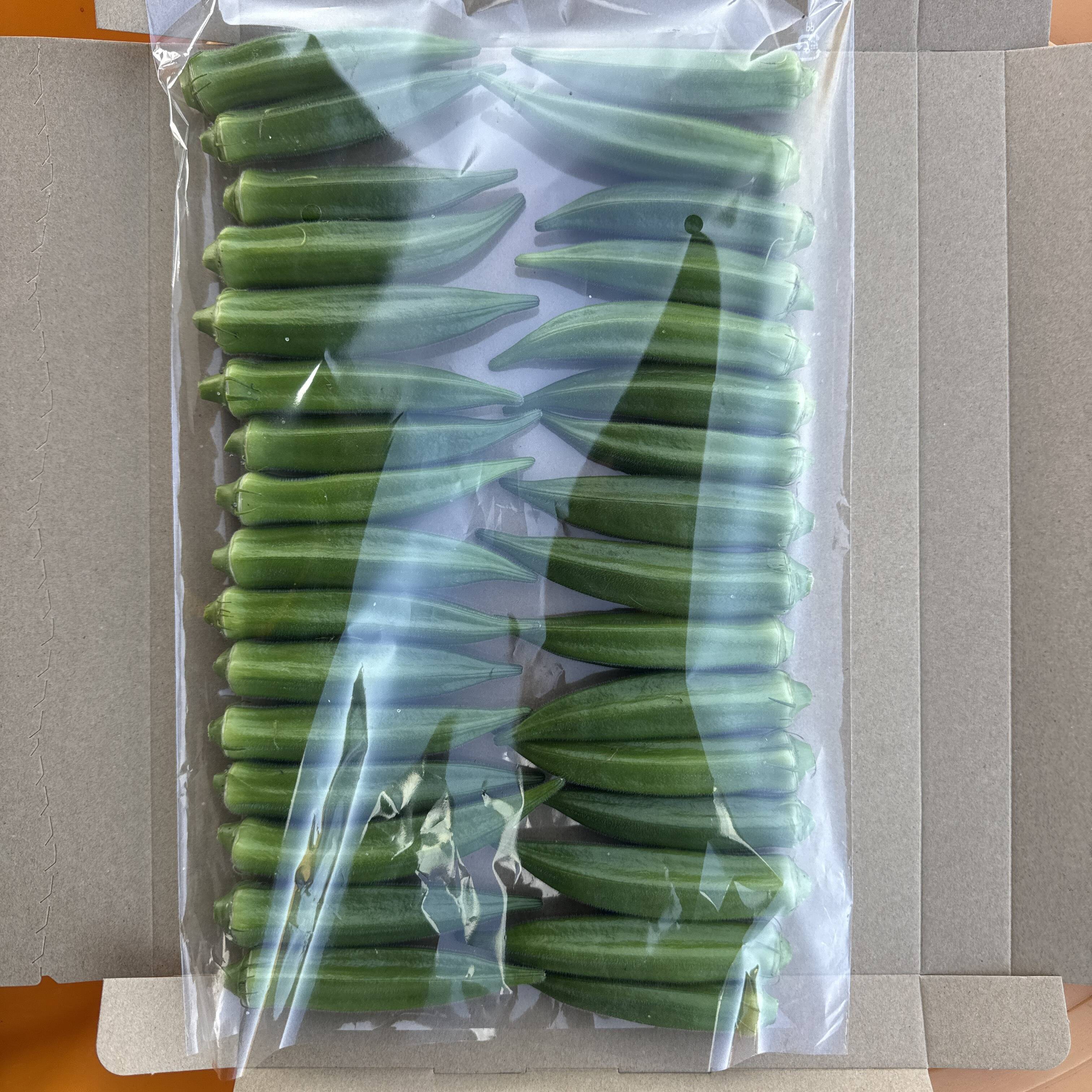 朝採れ新鮮‼️鹿児島・指宿産オクラ（正品）】32本入り：鹿児島県産の