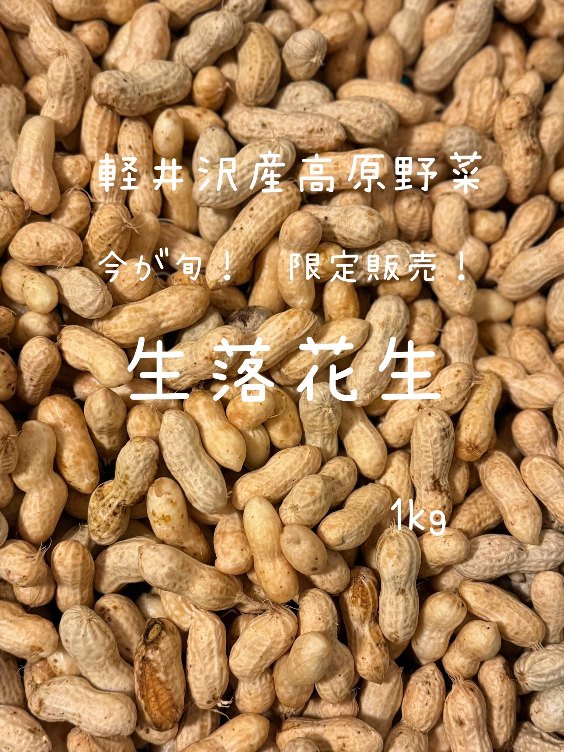 今だけ旬！堀りたて発送『生落花生』軽井沢産高原野菜 茹でてホクホク甘い：長野県産の千葉半立｜食べチョク｜産地直送(産直)お取り寄せ通販 -  農家・漁師から旬の食材を直送