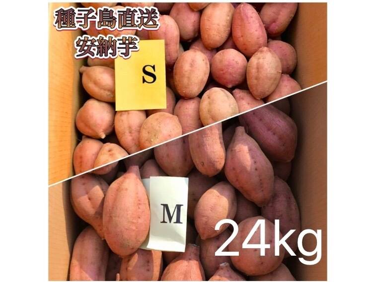 【絶品】種子島産  安納芋S 24kg(箱別)