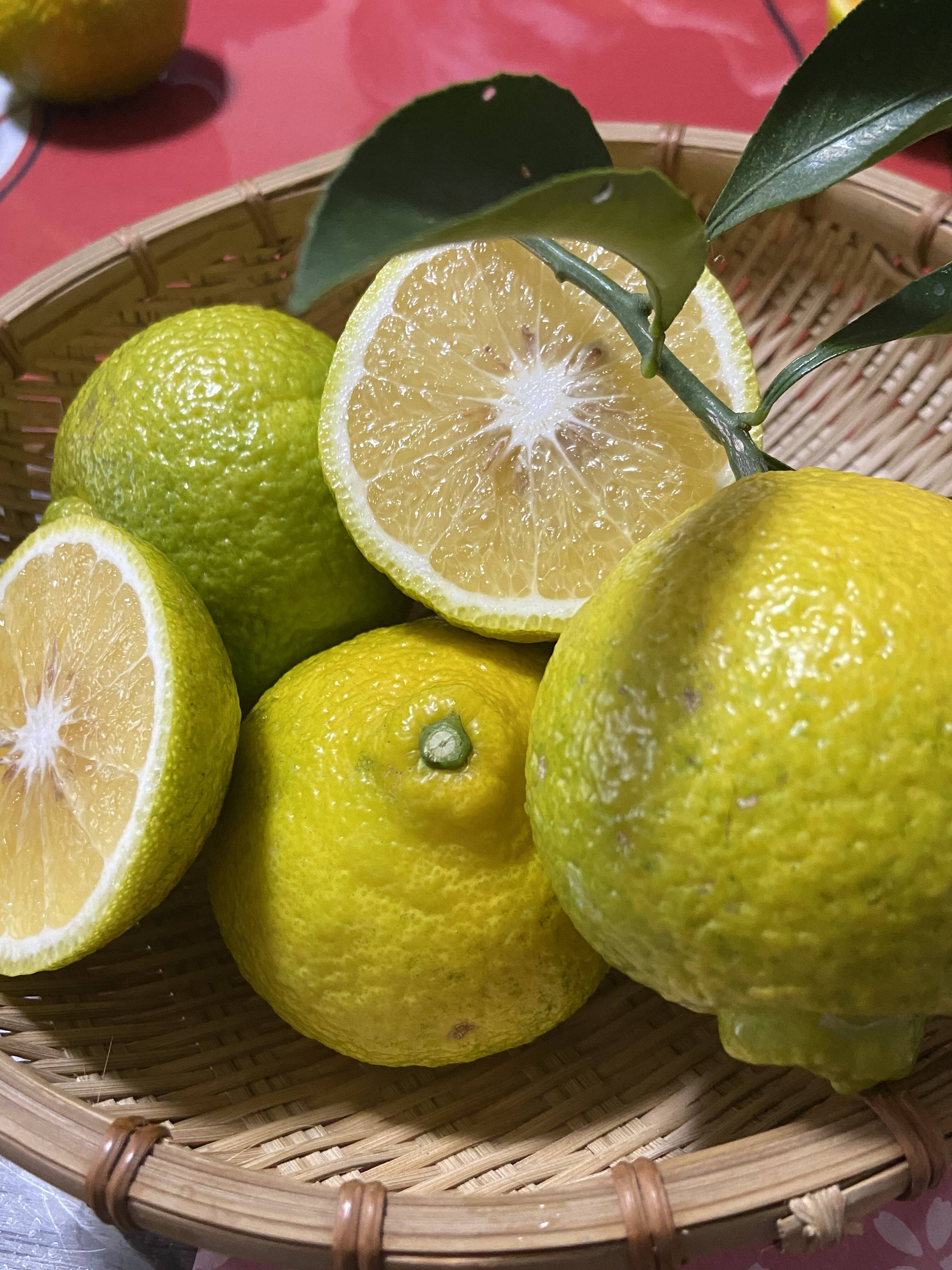 農家おすすめの柑橘類です♪ はるか 爽やかな甘さです♪ 4k：熊本県産