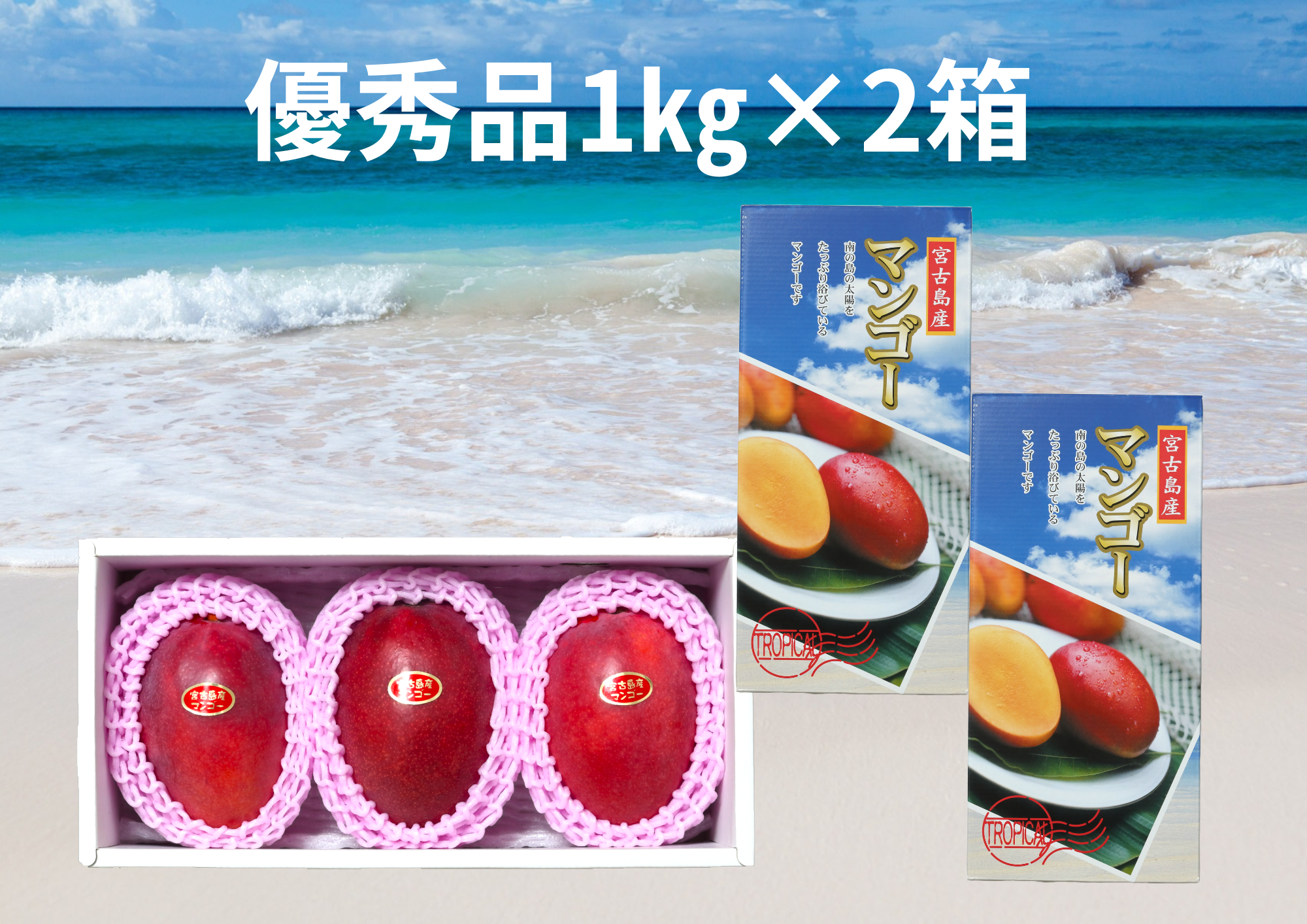 優秀品2箱買い】宮古島産完熟マンゴー1㎏(2～3玉)×2箱：沖縄県産の