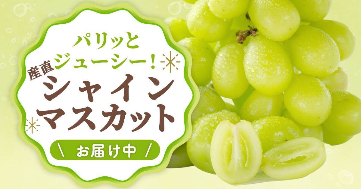 新鮮！パリッ！ジューシー！シャインマスカット特集｜食べチョク｜産地直送(産直)お取り寄せ通販 - 農家・漁師から旬の食材を直送