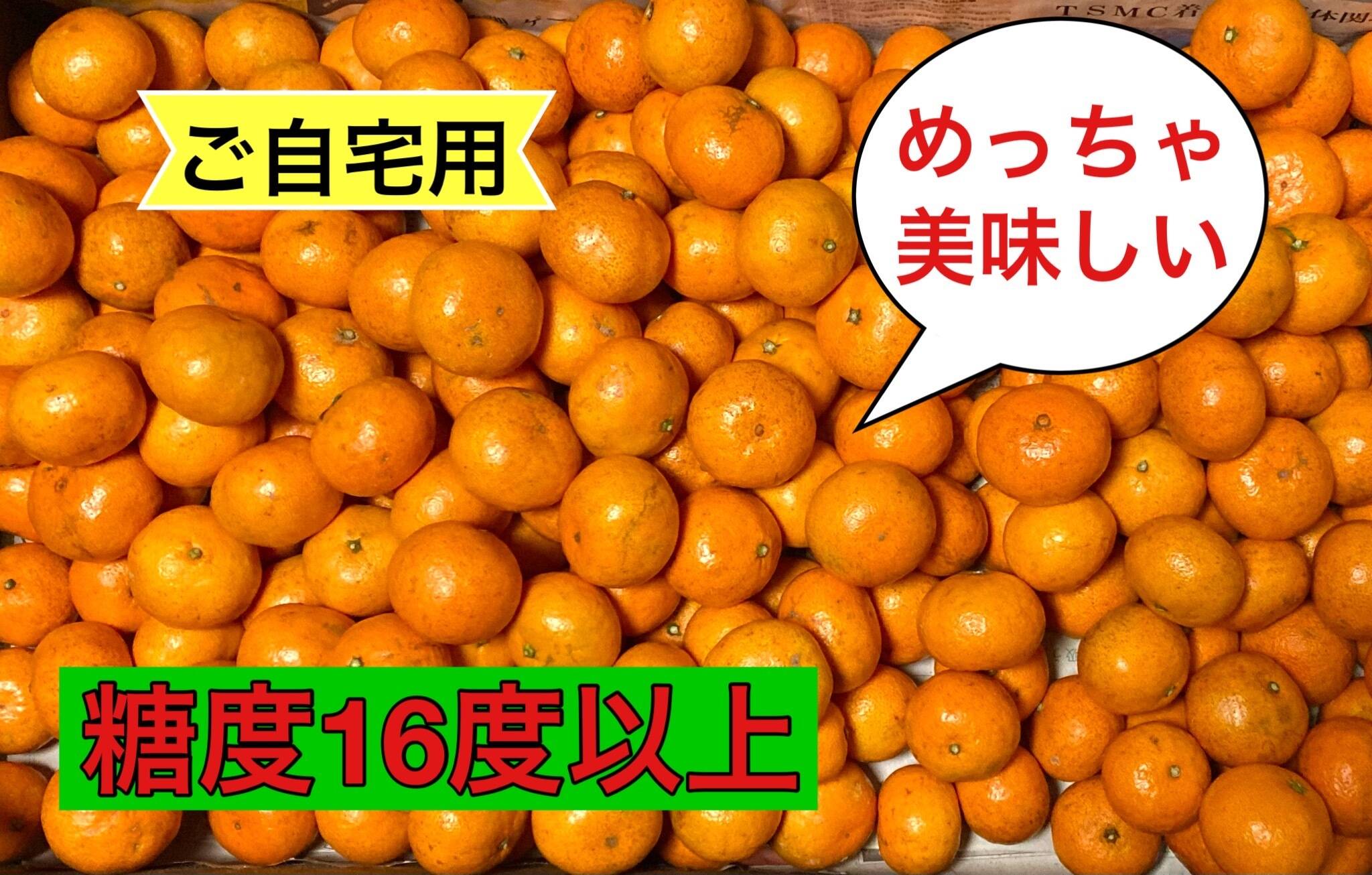 厳選シリーズ‼️菊みかん　蛍尻みかん　特選小玉3kg 楽天市場】【紀州名産】小玉みかん 3kg 濃い味 2S/Sサイズ 多少の傷