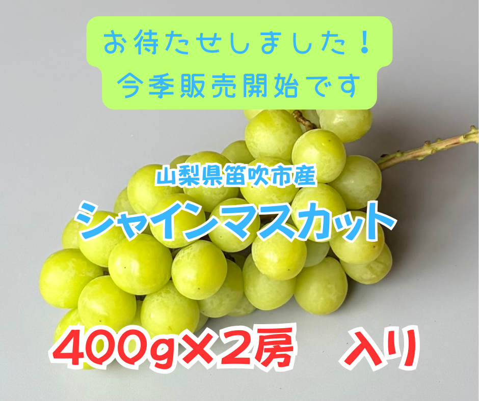 販売開始しました！】「山梨県笛吹市産シャインマスカット」ご家庭用に