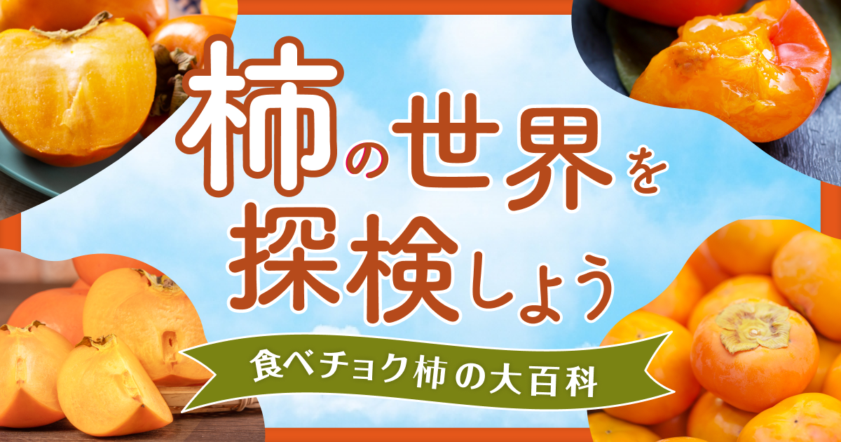 【柿の世界を探検しよう】柿の品種14種類を特徴ごとに一挙公開!