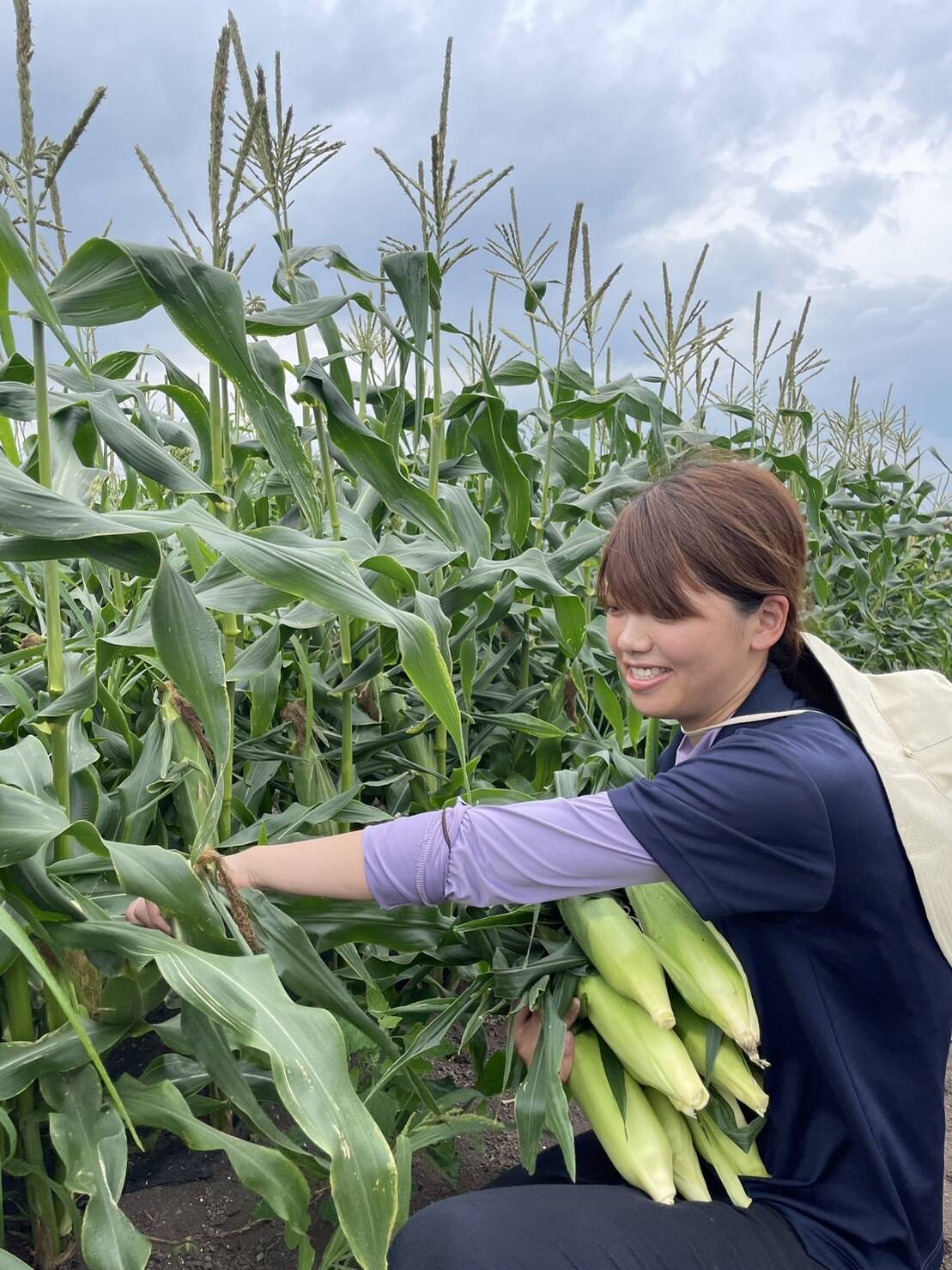 北海道産！濃厚極甘とうもろこし🌽2番果：北海道産のその他